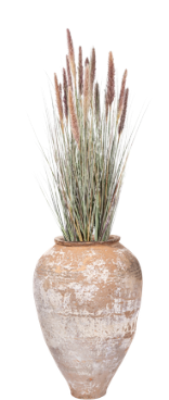 4' Foxtail Grass in Turkish Pot | PC1479TURKTCMD