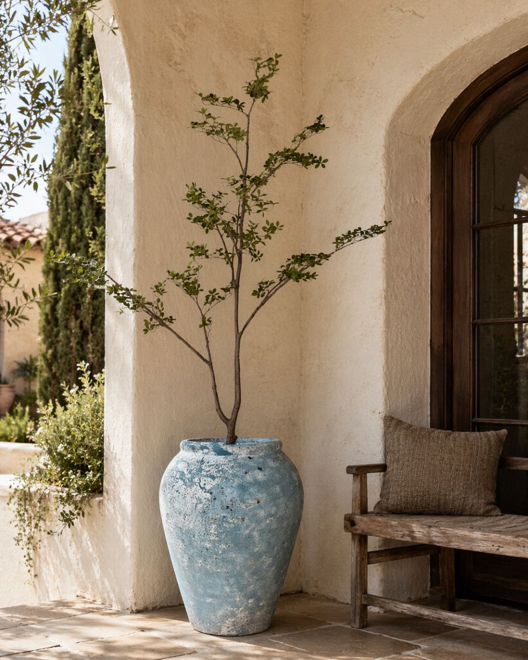 9' Gardenia Tree in Calypso Planter