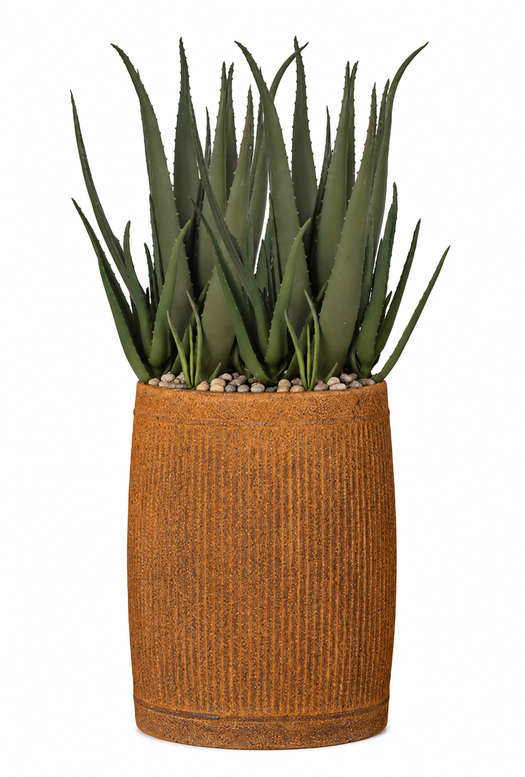 Potted Aloe Plant in Mesa Planter with Mixed Rock PC1047CN1422MD