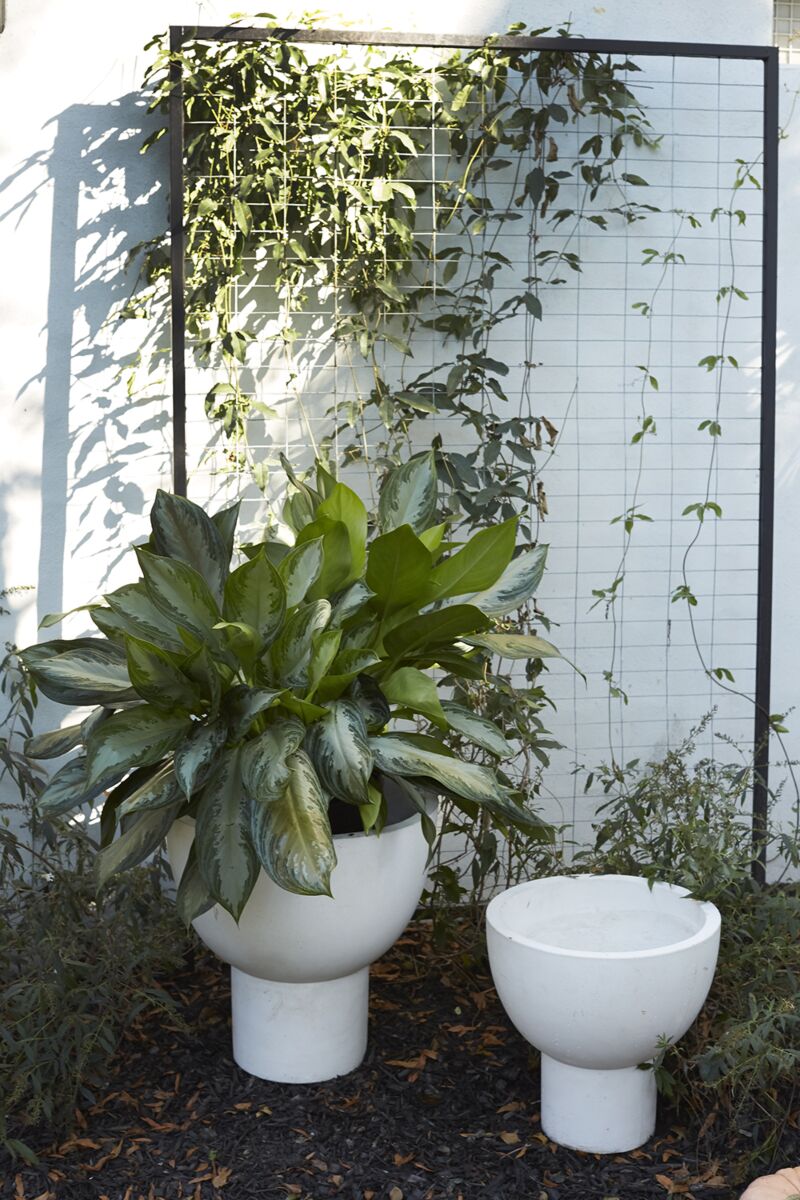 Michael Planter Collection - White Concrete CN1268