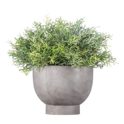 12" Mack Concrete Compote Bowl with Grass AR1042