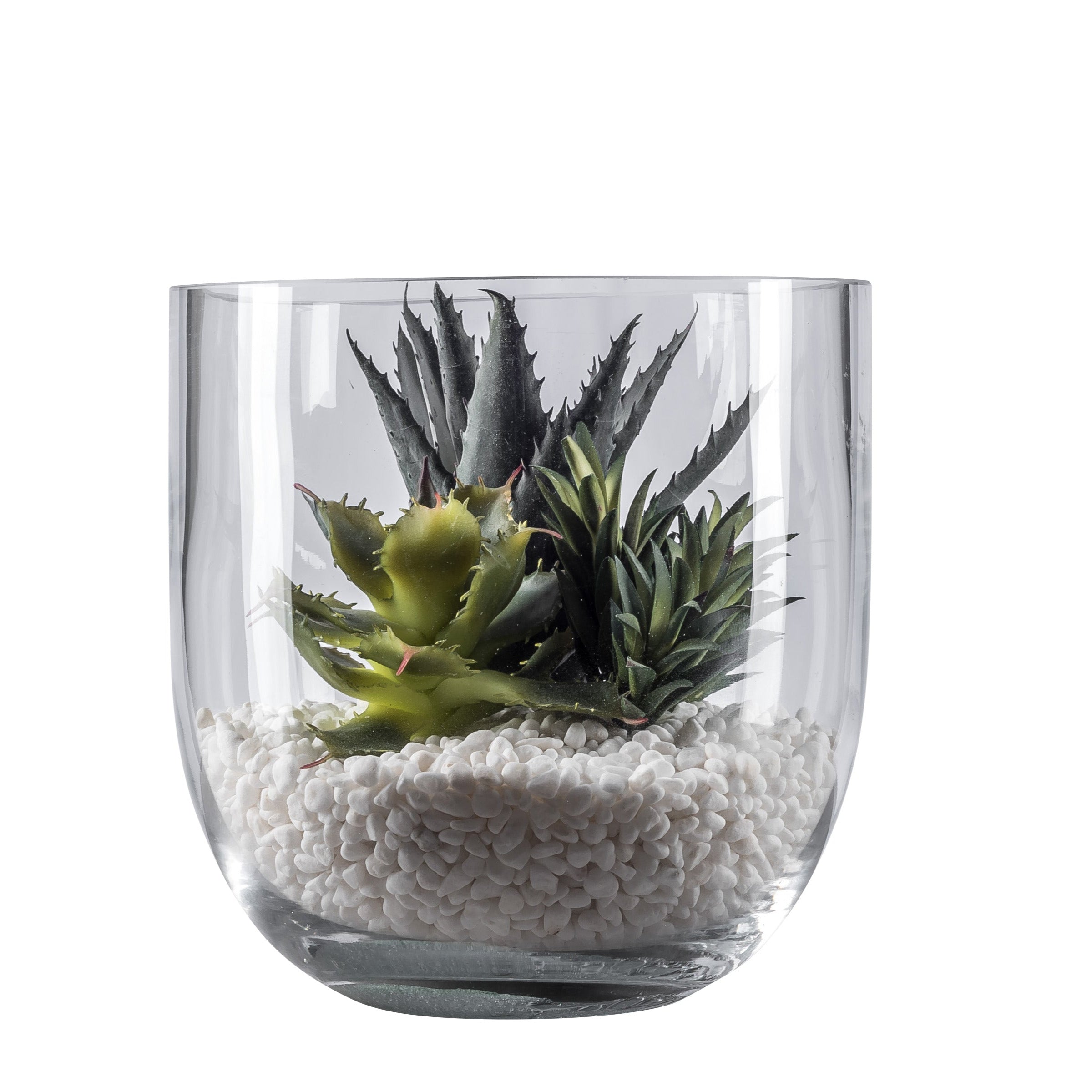 8" Colie Bowl with Succulents AR1047