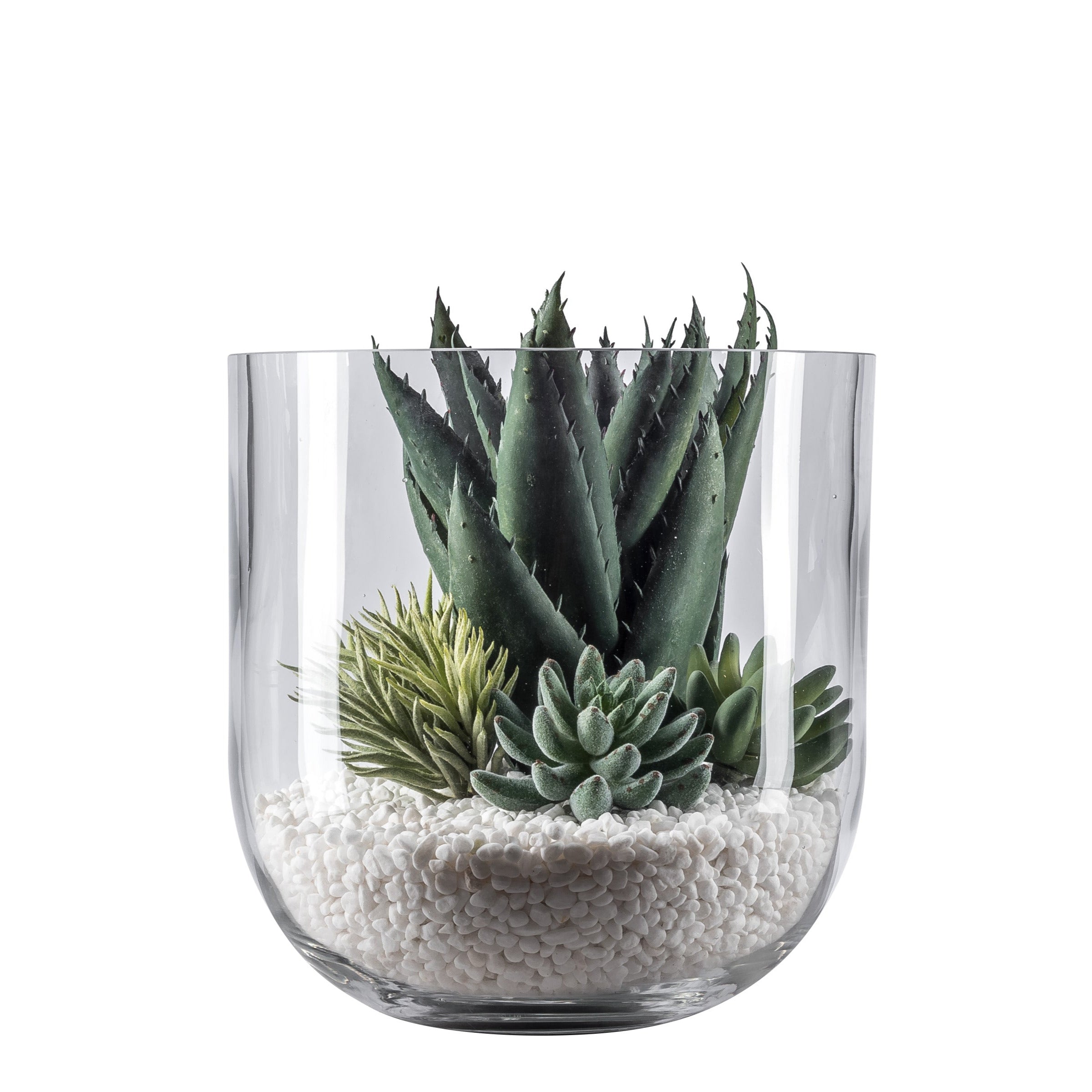 10" Colie Bowl Glass Vase with Succulents AR1046