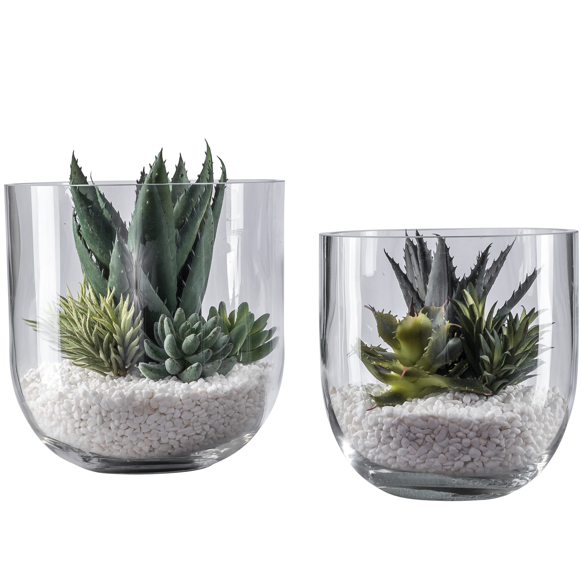 Colie Bowl Set with Succulent Arrangements  AR1048