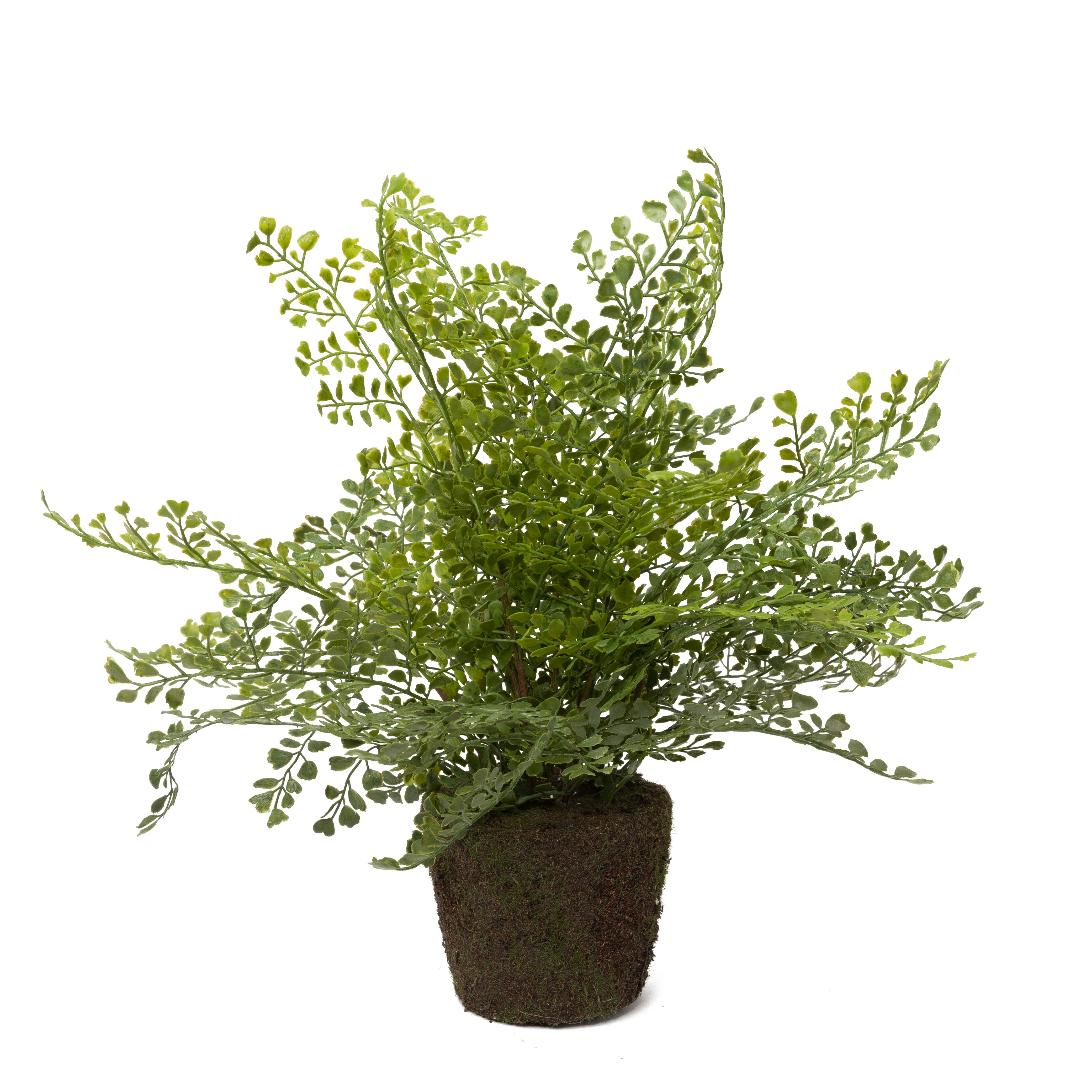 18" Drop In Maidenhair Fern PP1038
