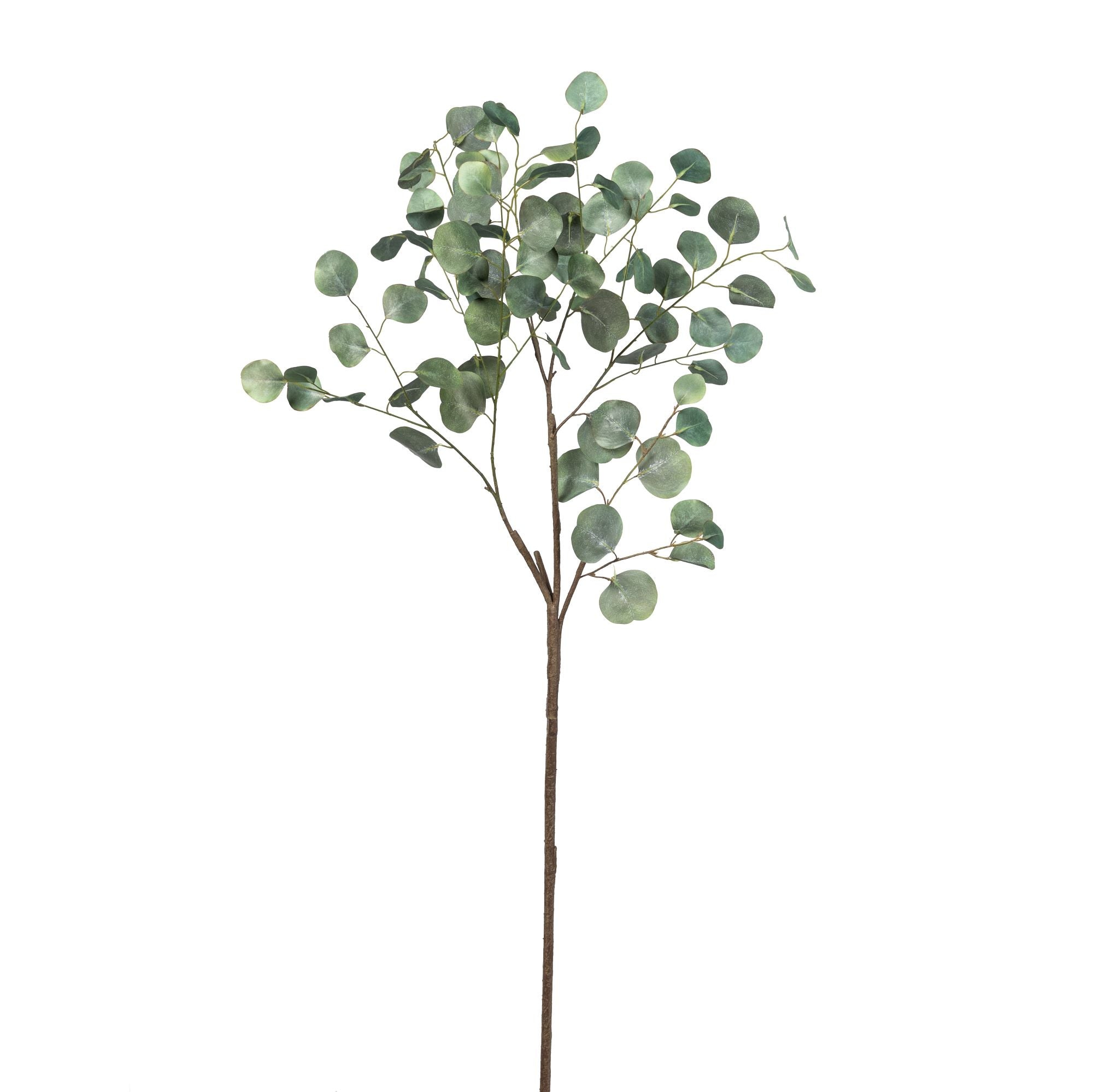 64" Eucalyptus Stem ST1095