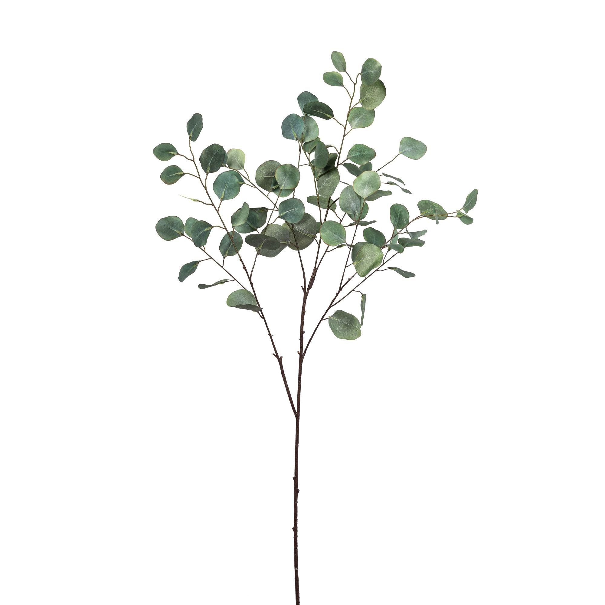 40" Eucalyptus Stem ST1093