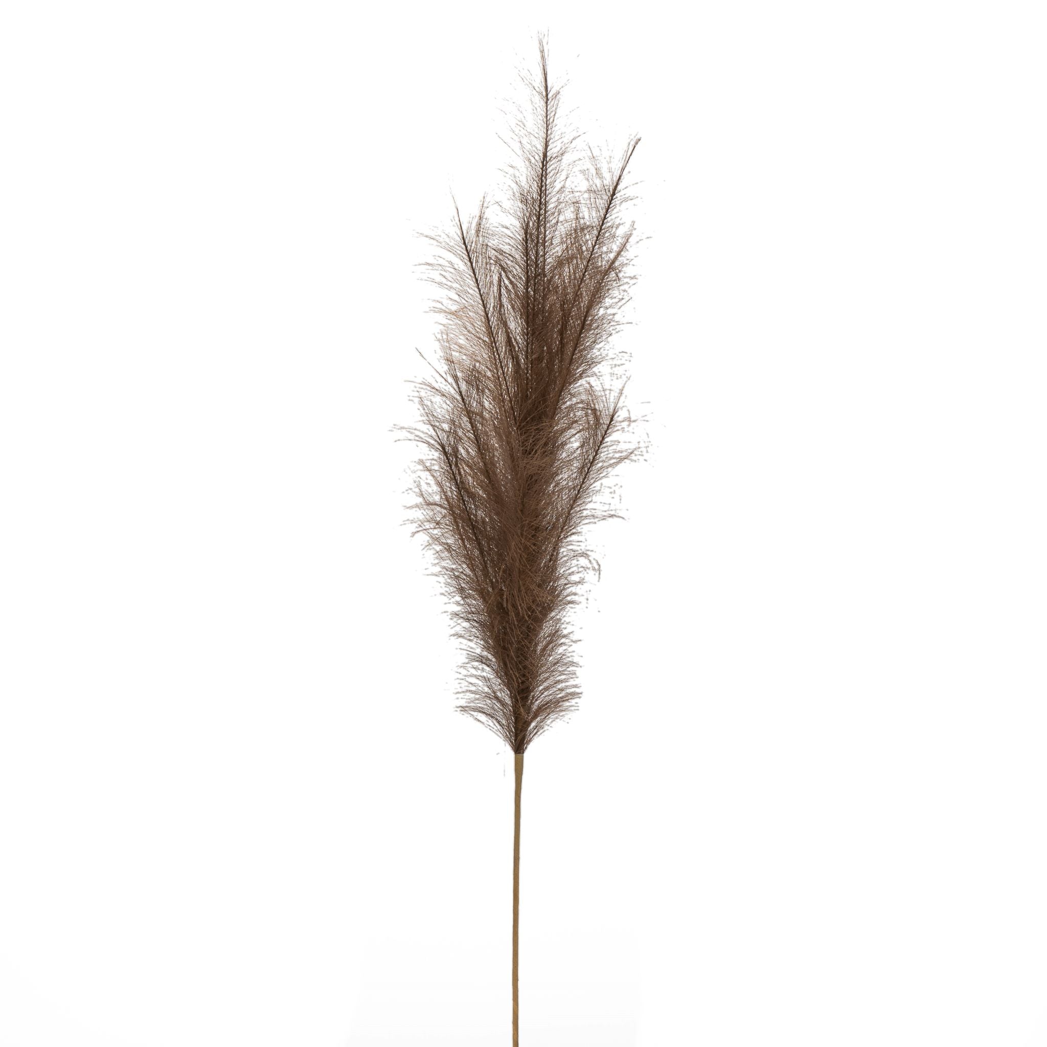 Faux Dark Brown Pampas Grass ST1104