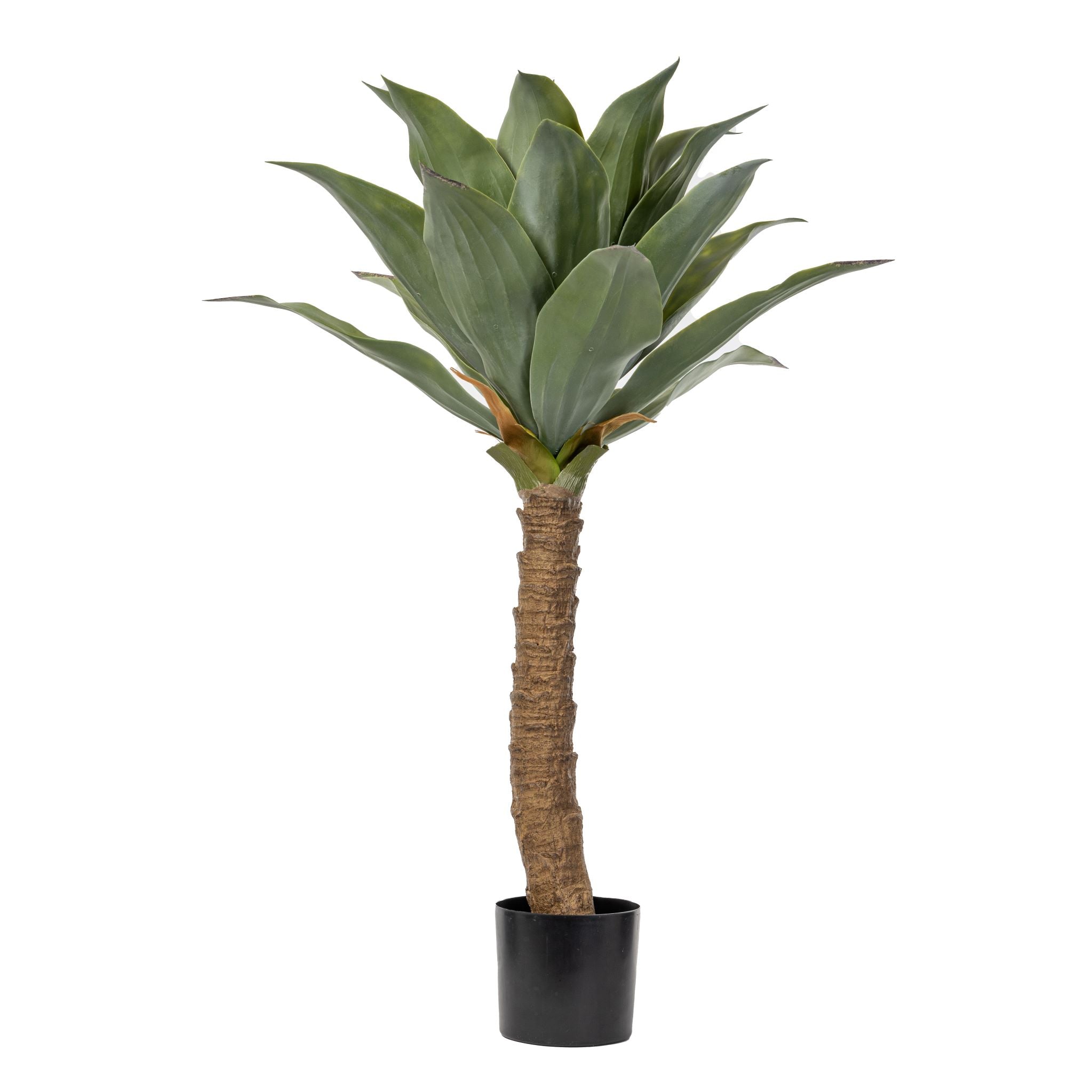 3.5’ Agave Plant FP1214