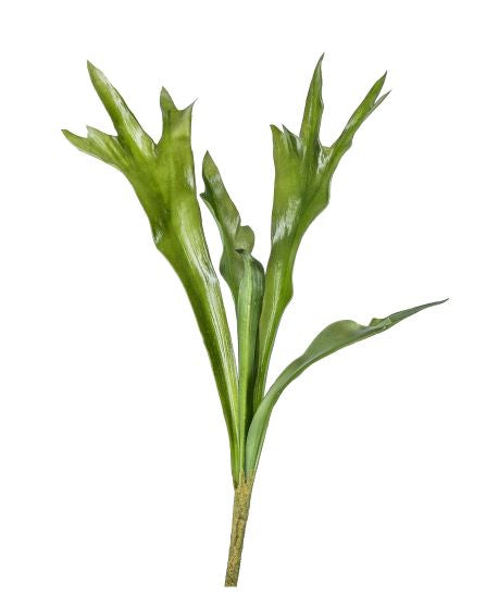 23" Staghorn Fern ST1033