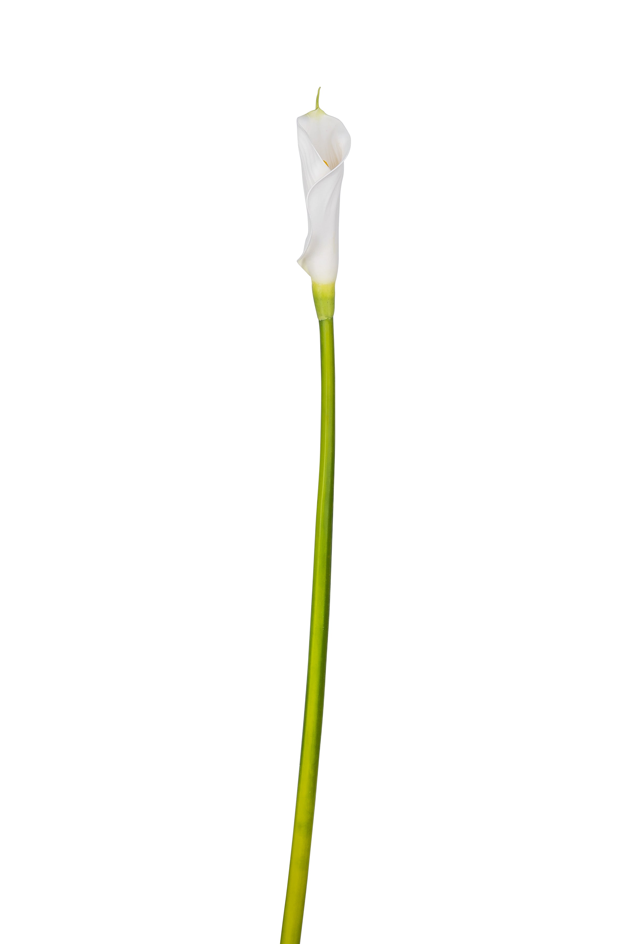 30" Calla Lily Single Flower FL1013