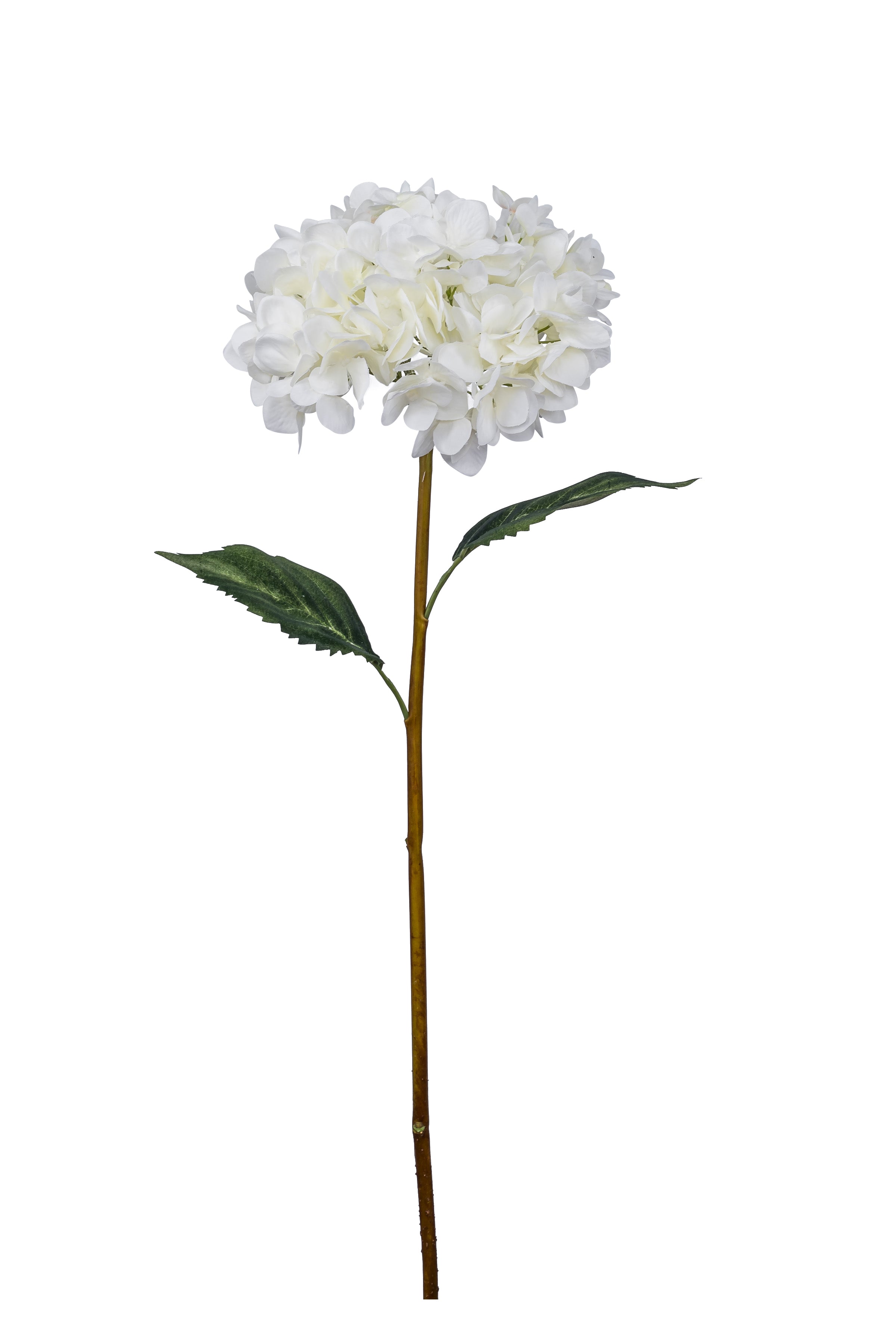 26.5" Cream Hydrangea Spray with 2 Leaves FL1011
