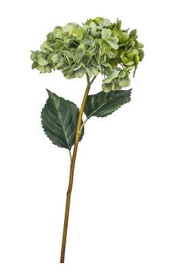 26.5" Green Hydrangea Spray with 2 Leaves FL1010