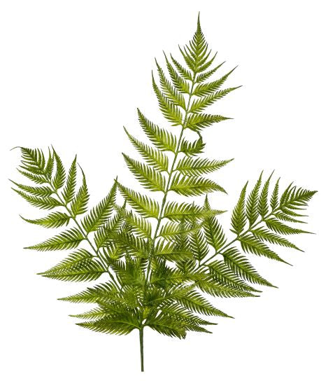 22" Bracken Fern Stem FR1010