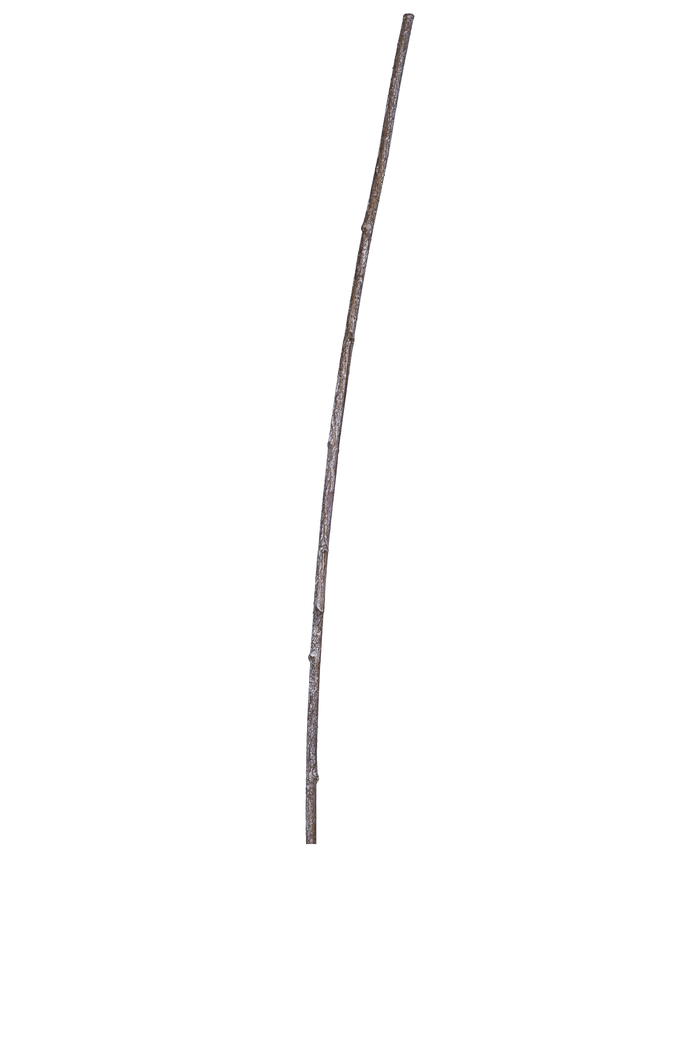 43" Single Vine Spray ST1031