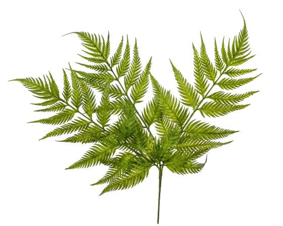 15" Bracken Fern Stem FR1009