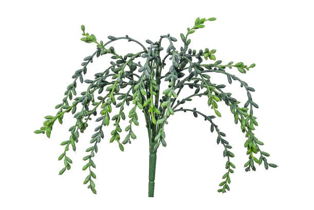 17" String of Pearls Bush SE1017