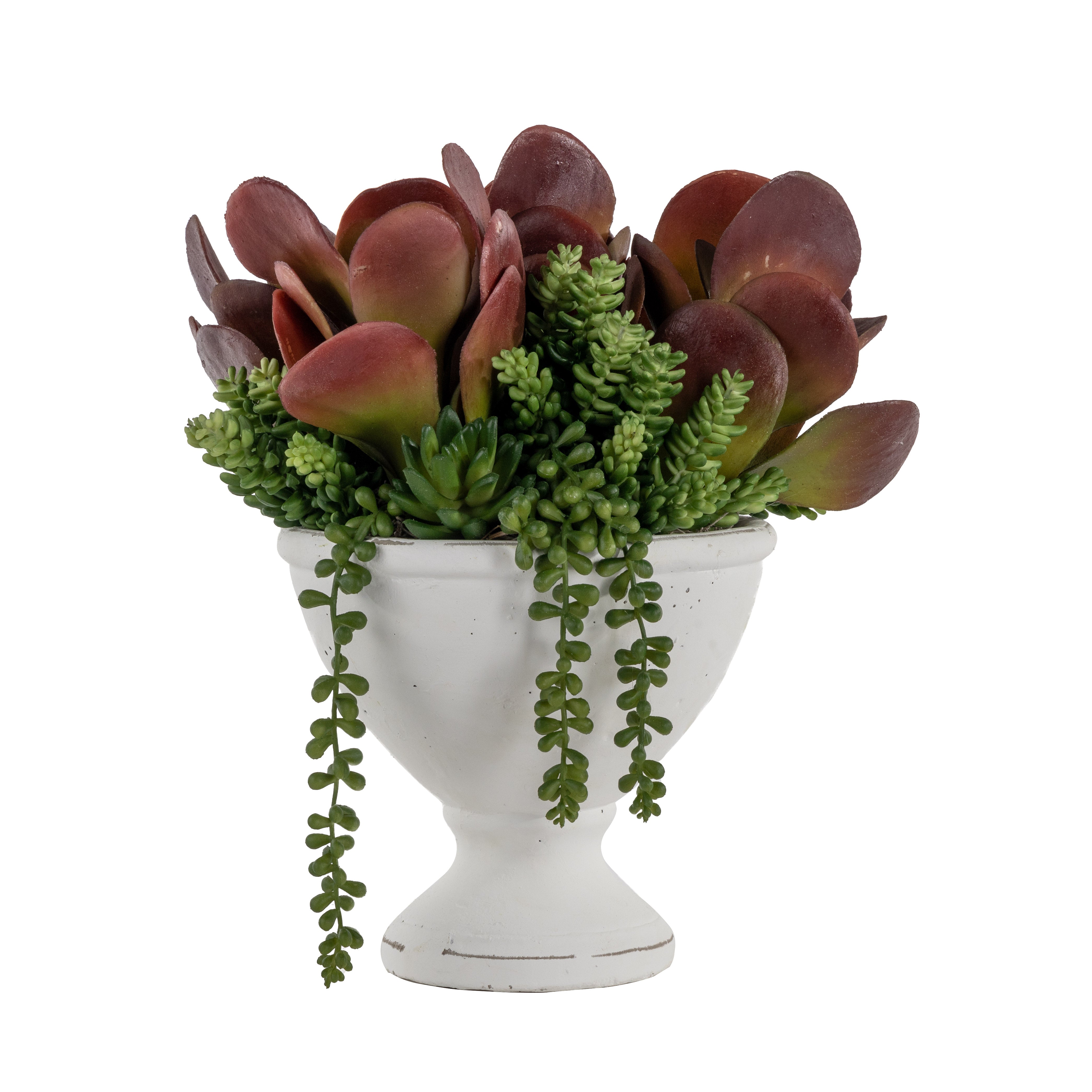 13" Benoit Tall Ceramic Bowl with Succulents AR1043