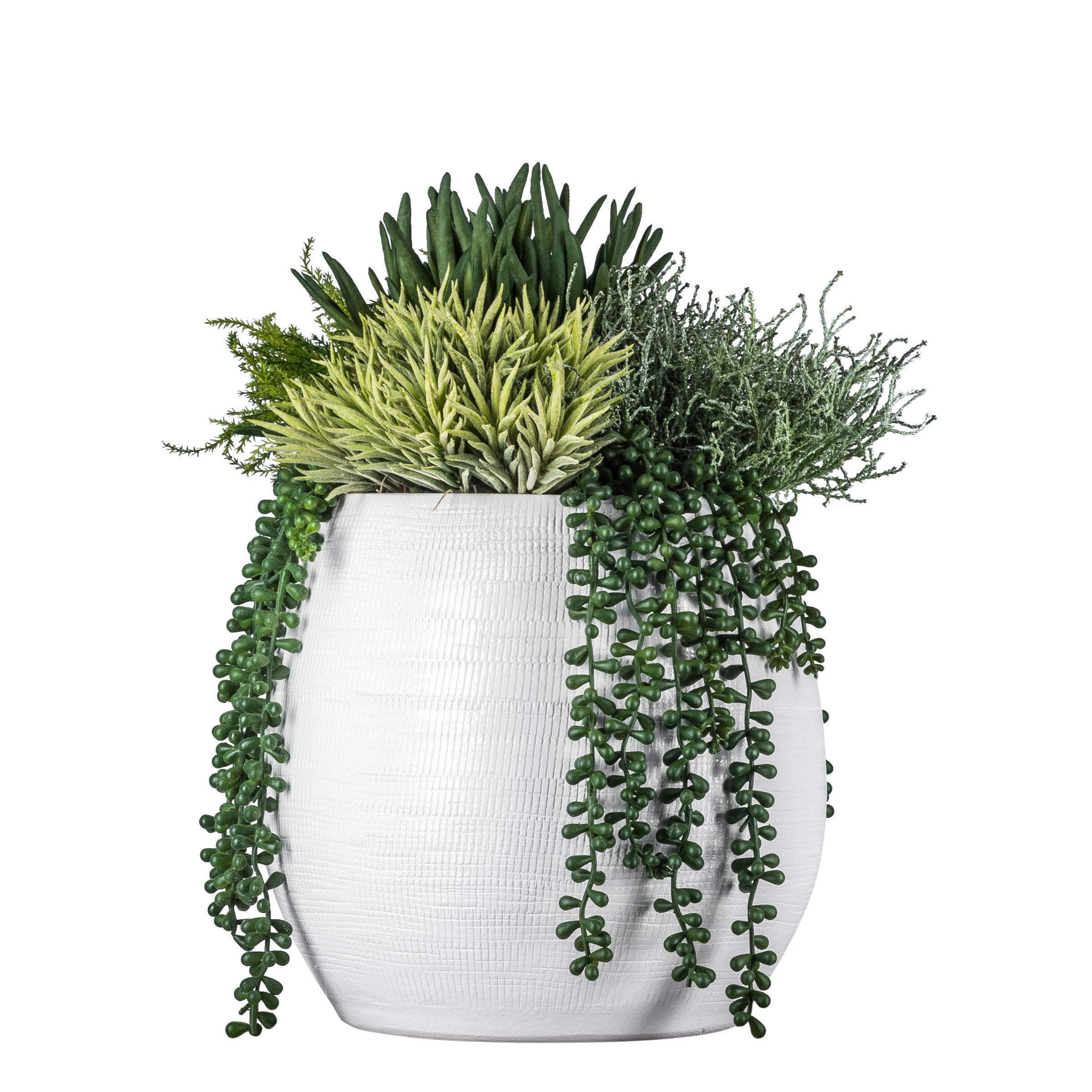 11" Benji Pot with Succulent Arrangement AR1060