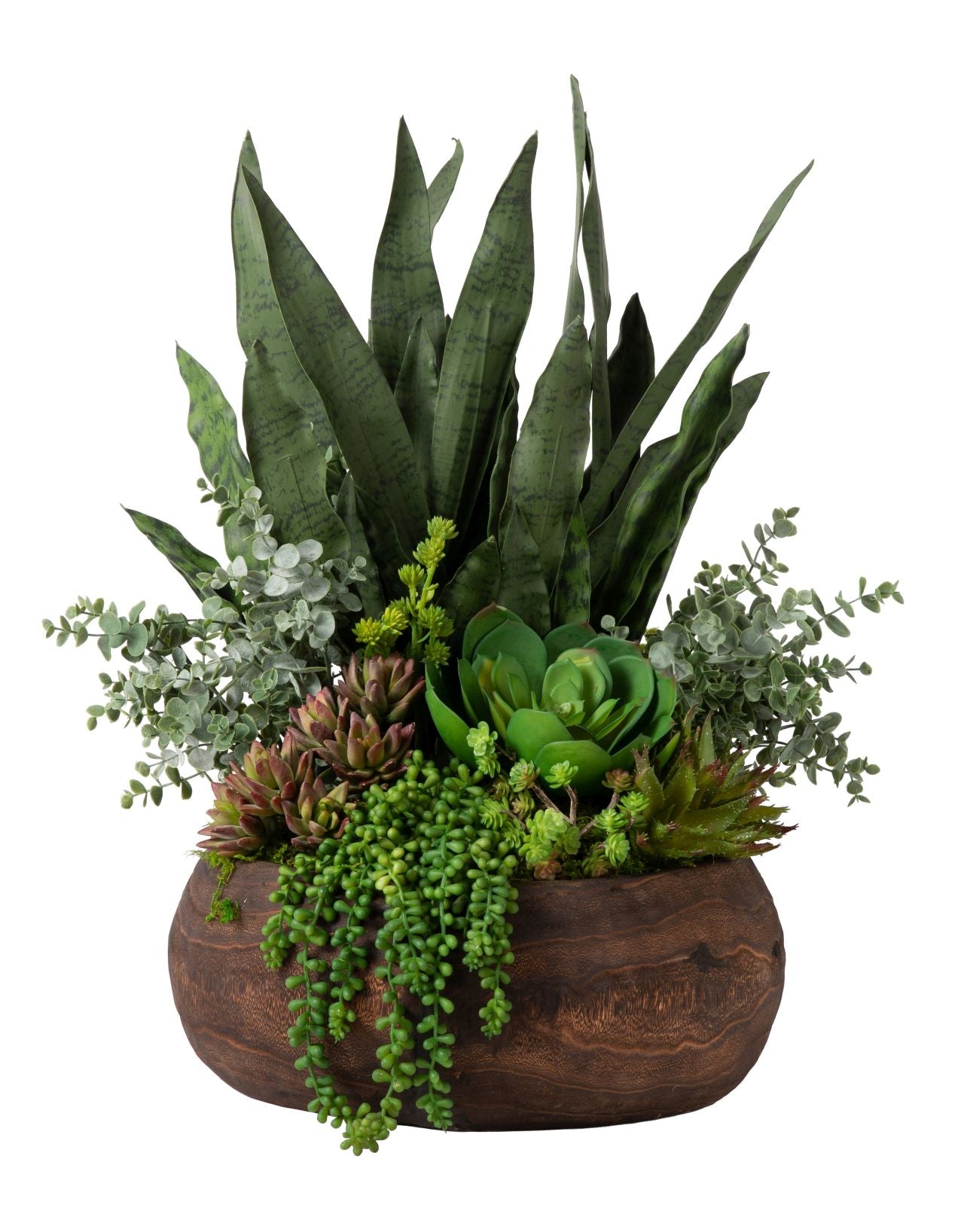16" Dorian Wood Bowl with Snake and Succulents AR1147