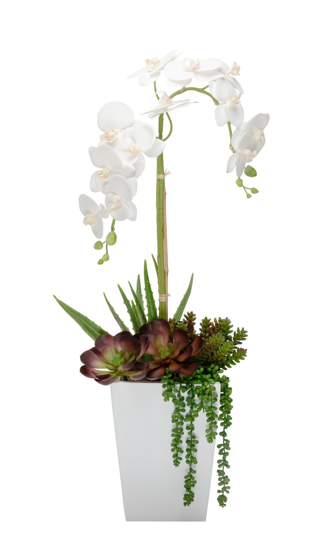 8" Logan Planter with Orchid Arrangement AR1153