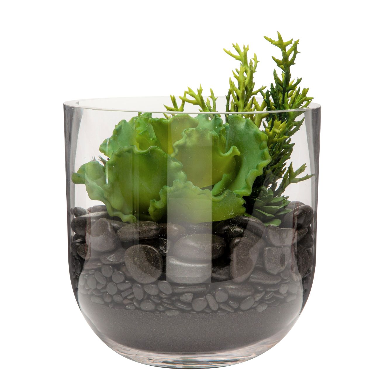 10" Colie Bowl with Succulent Arrangement AR1172