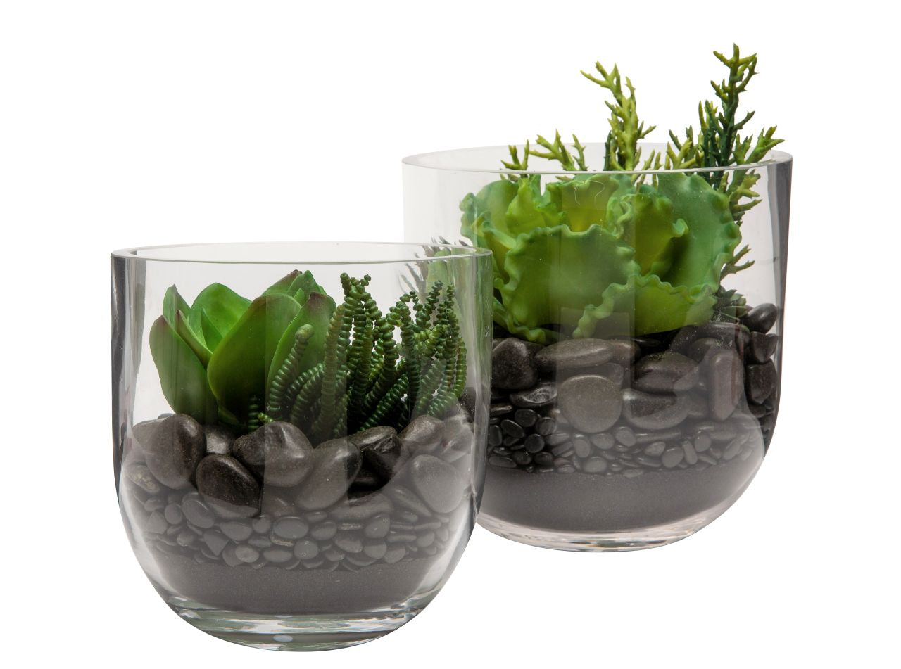 Colie Bowl Set with Succulent Arrangement  AR1174