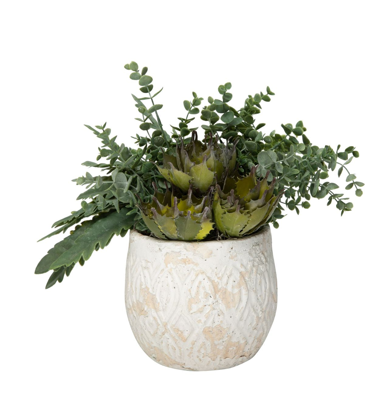 8” Andaz Pot with Succulent Arrangement AR1191