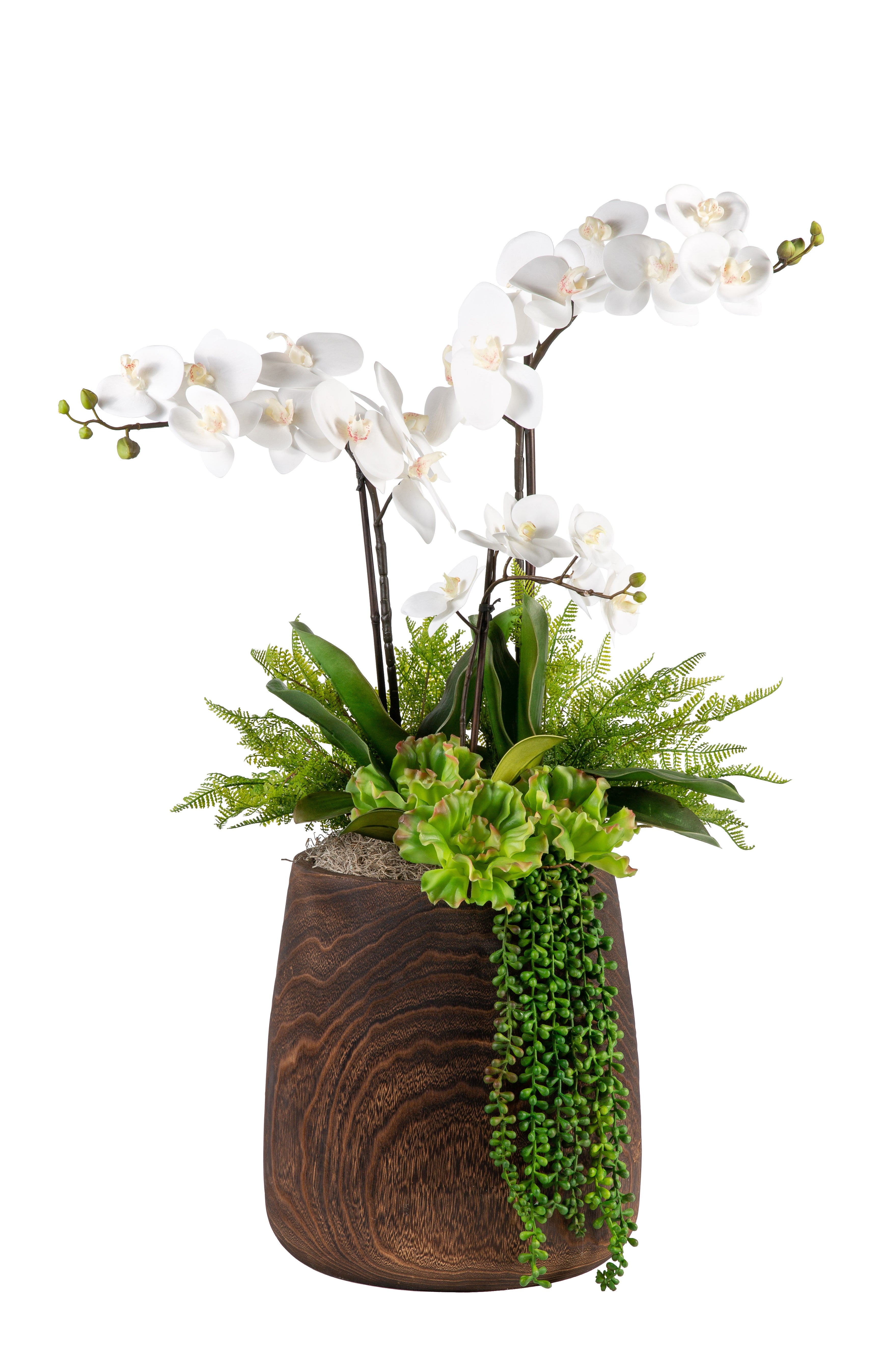 14" Dorian Bowl with White Orchids and Mixed Succulents AR1196