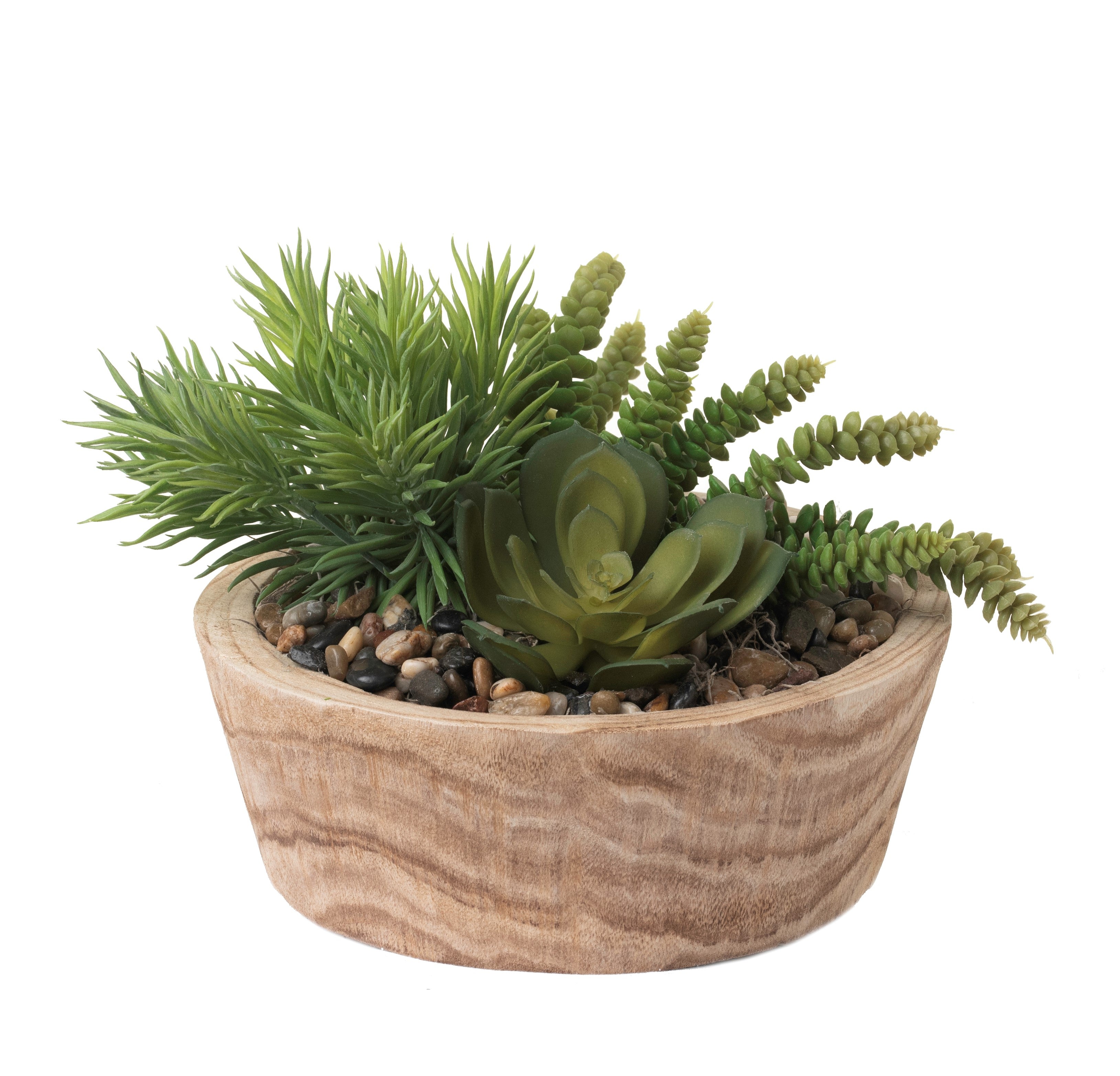 12" Sedona Bowl with Succulents AR1224