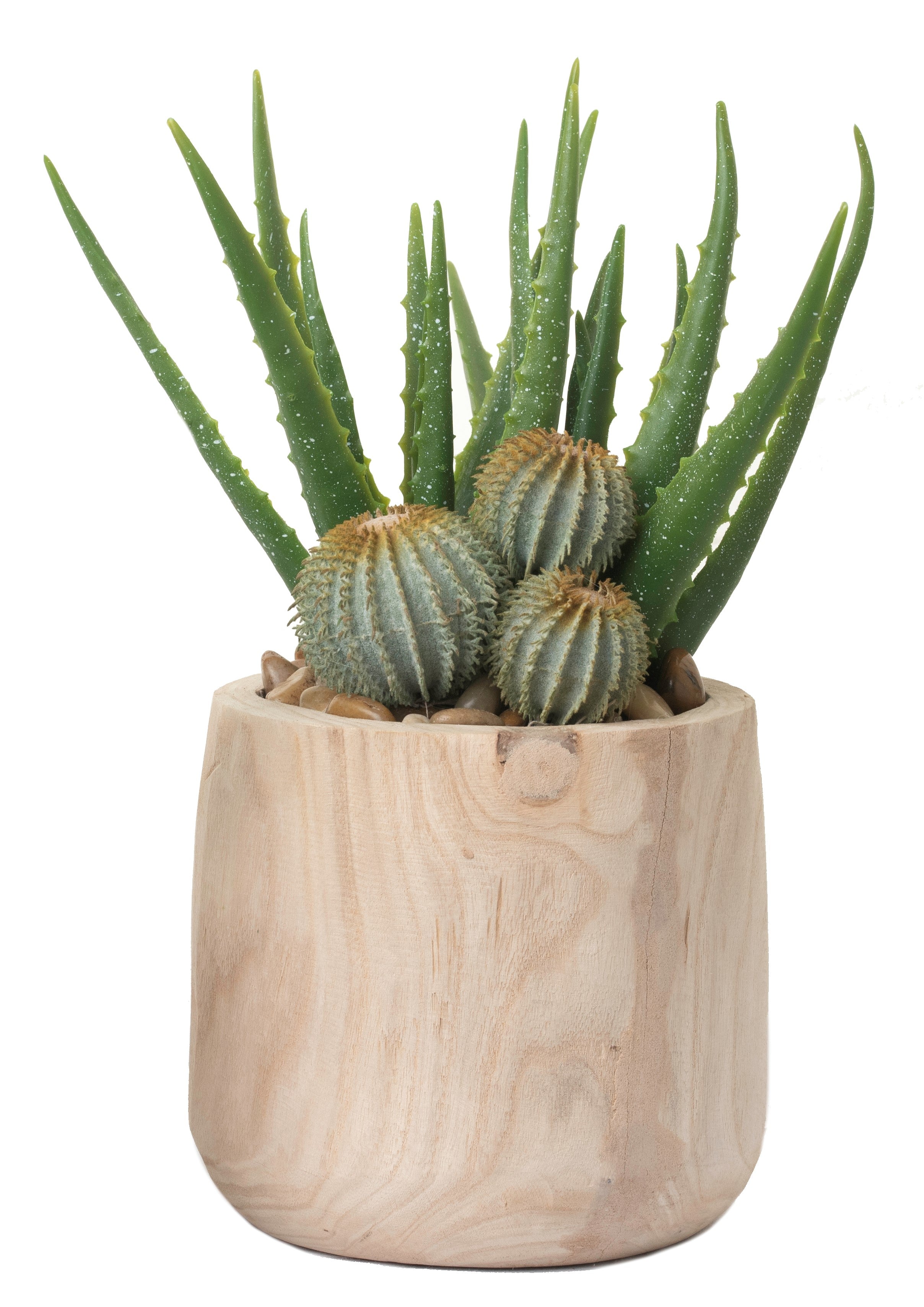 9" Sedona Pot with Aloe and Cactus Arrangement AR1226
