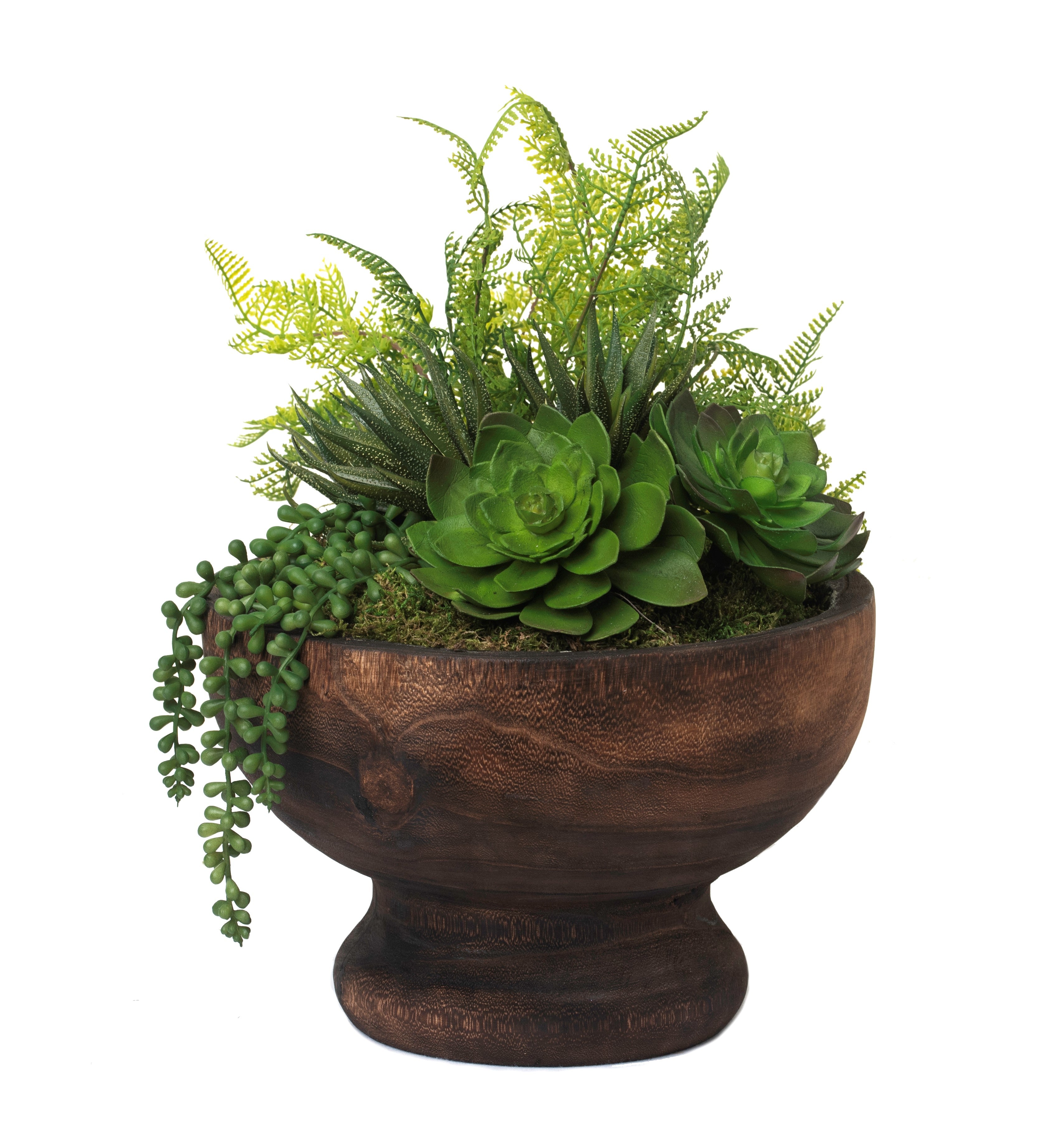 12" Dorian Compote with Succulent AR1233