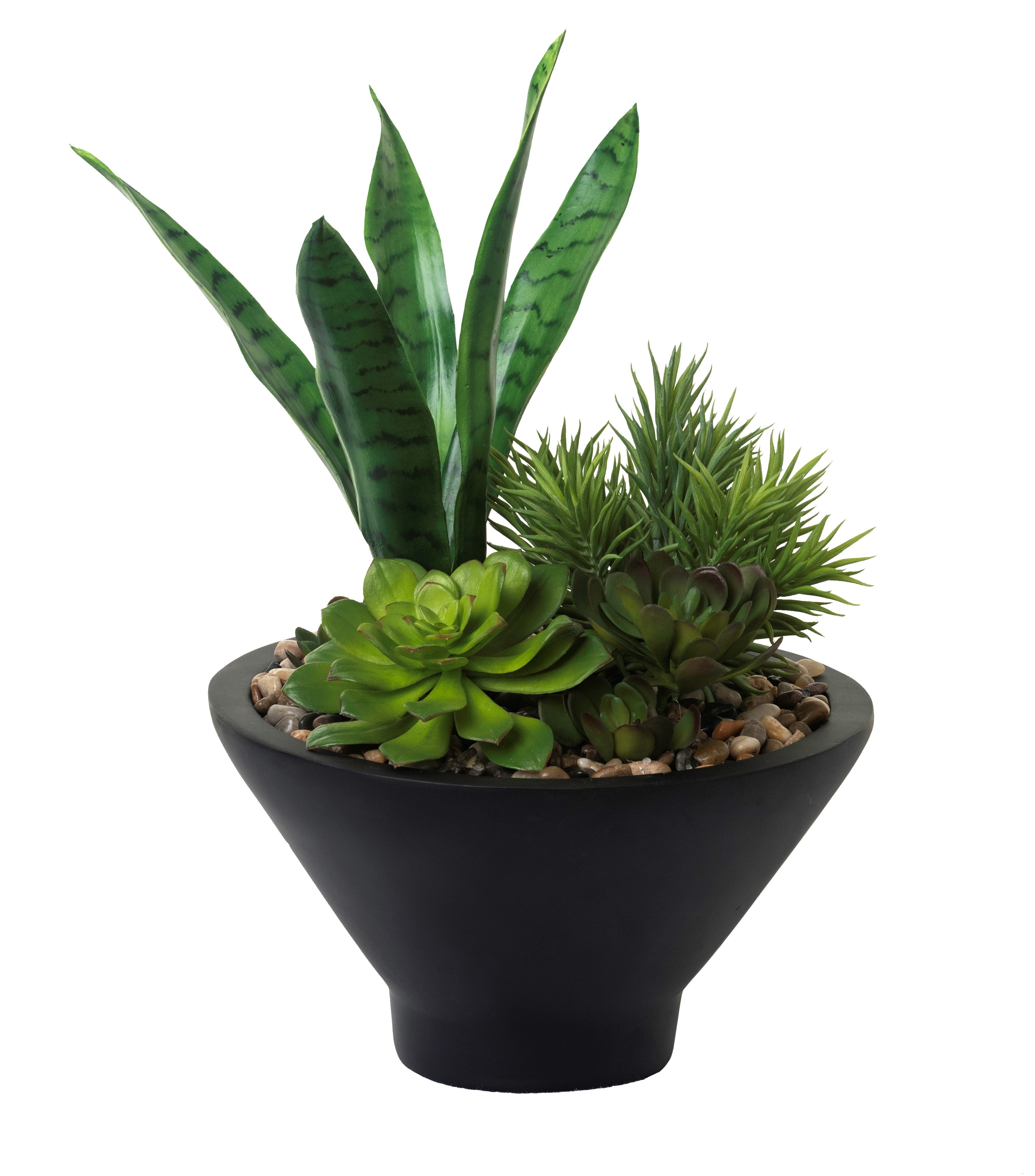 12" Black Ubud Bowl with Succulents AR1238