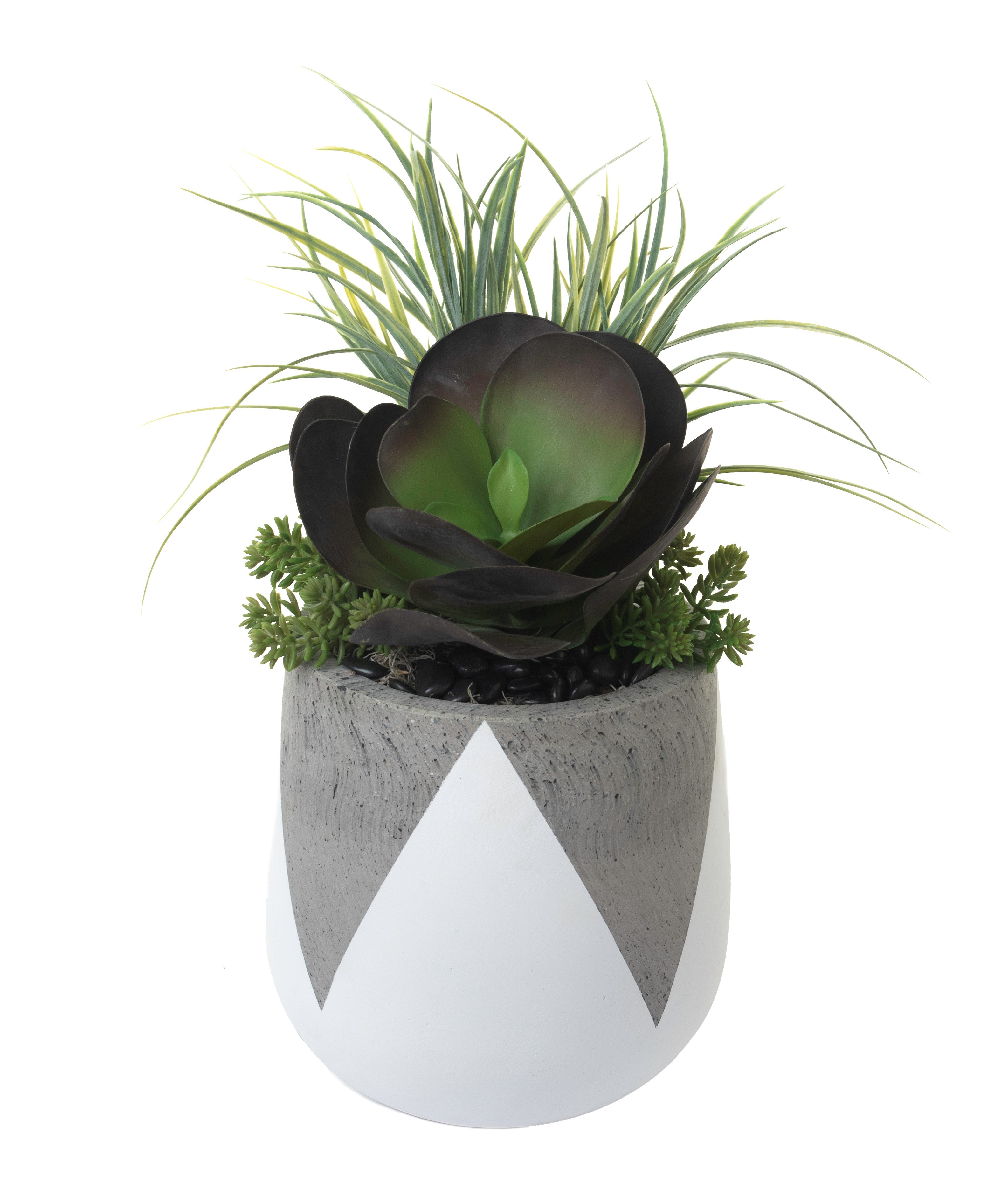 9" White Emma Planter with Succulents AR1249