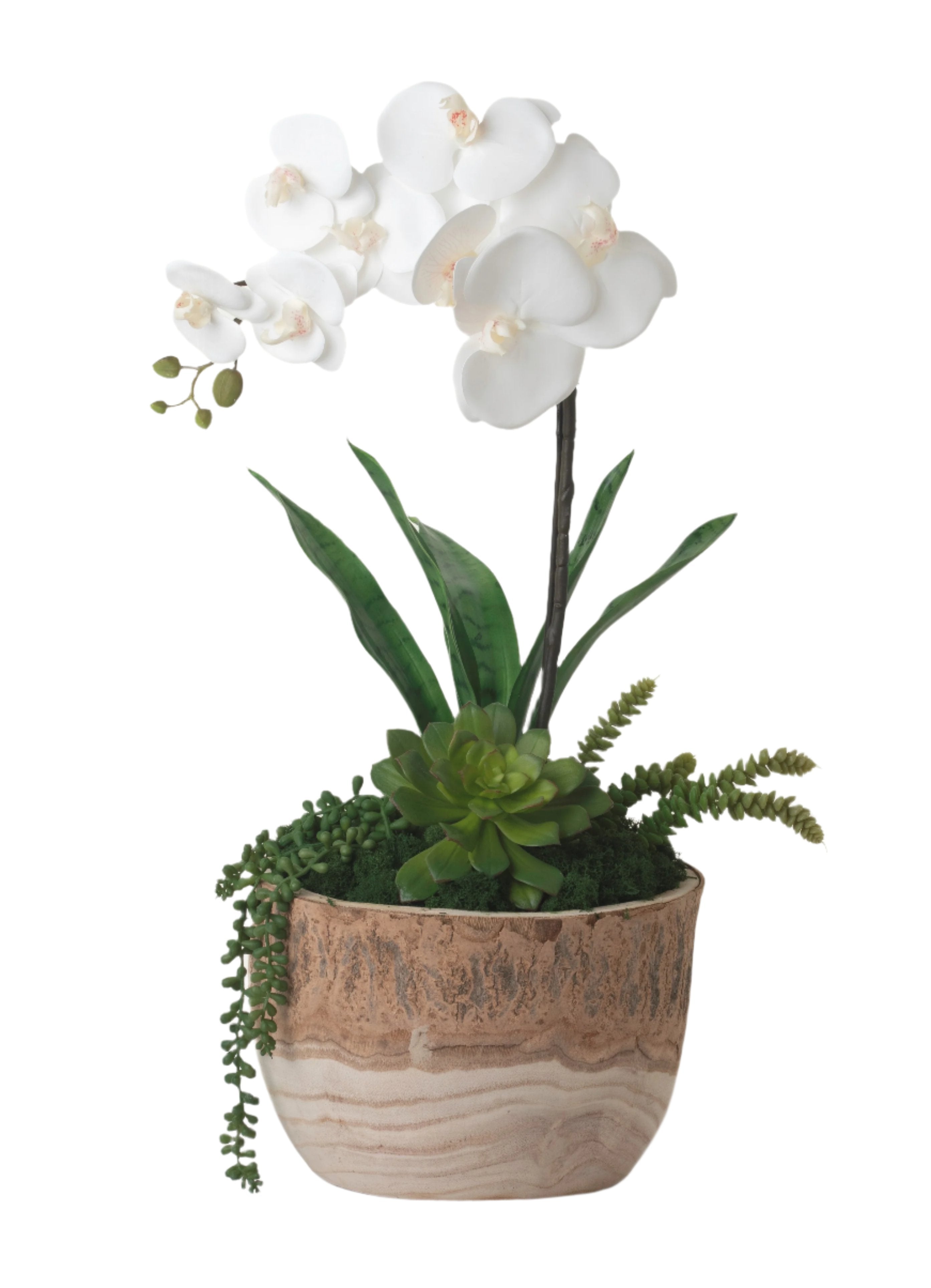 12" Sedona Bowl with Orchid Arrangement AR1254
