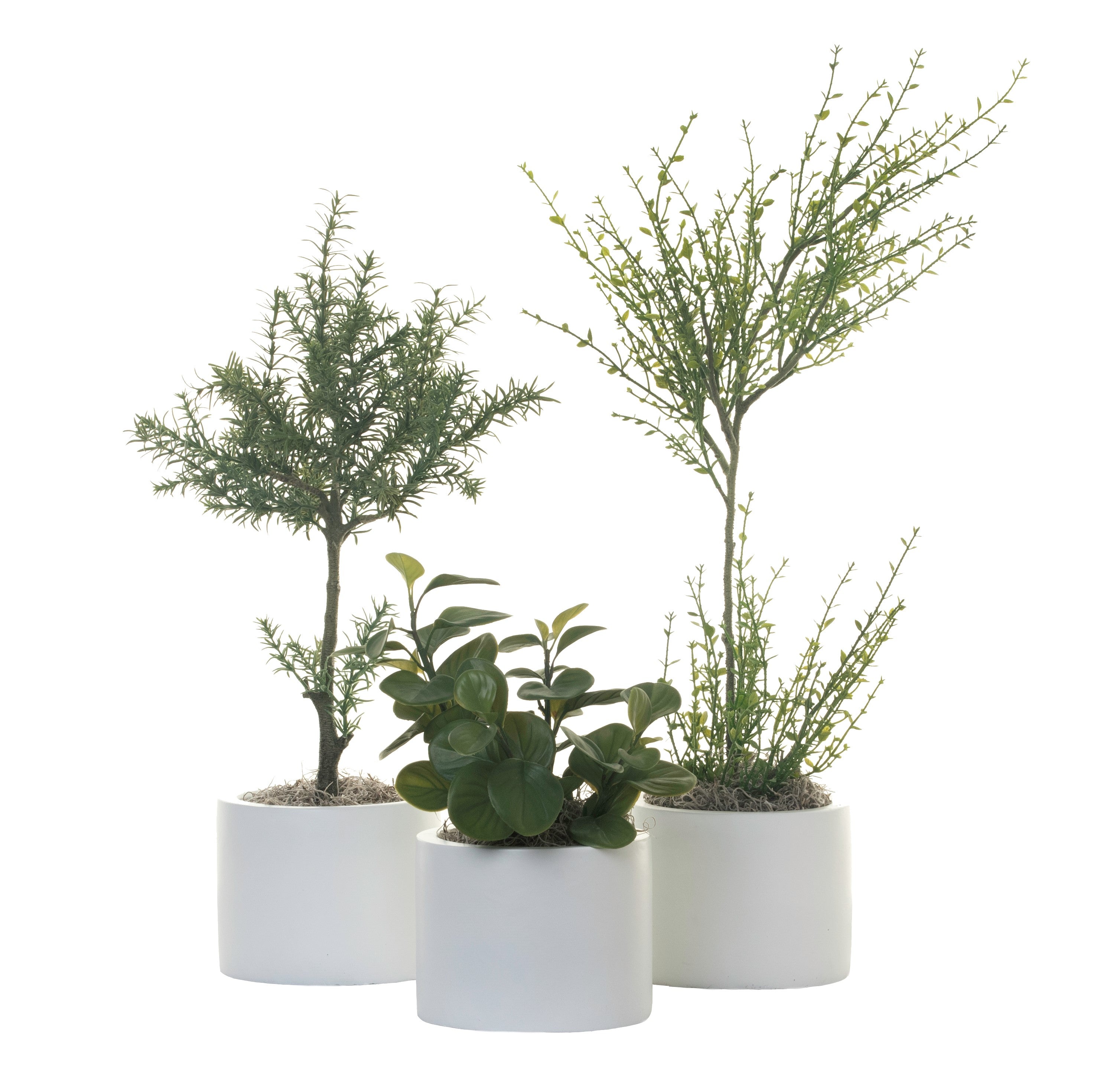 6" Harley Trio Arrangement AR1303