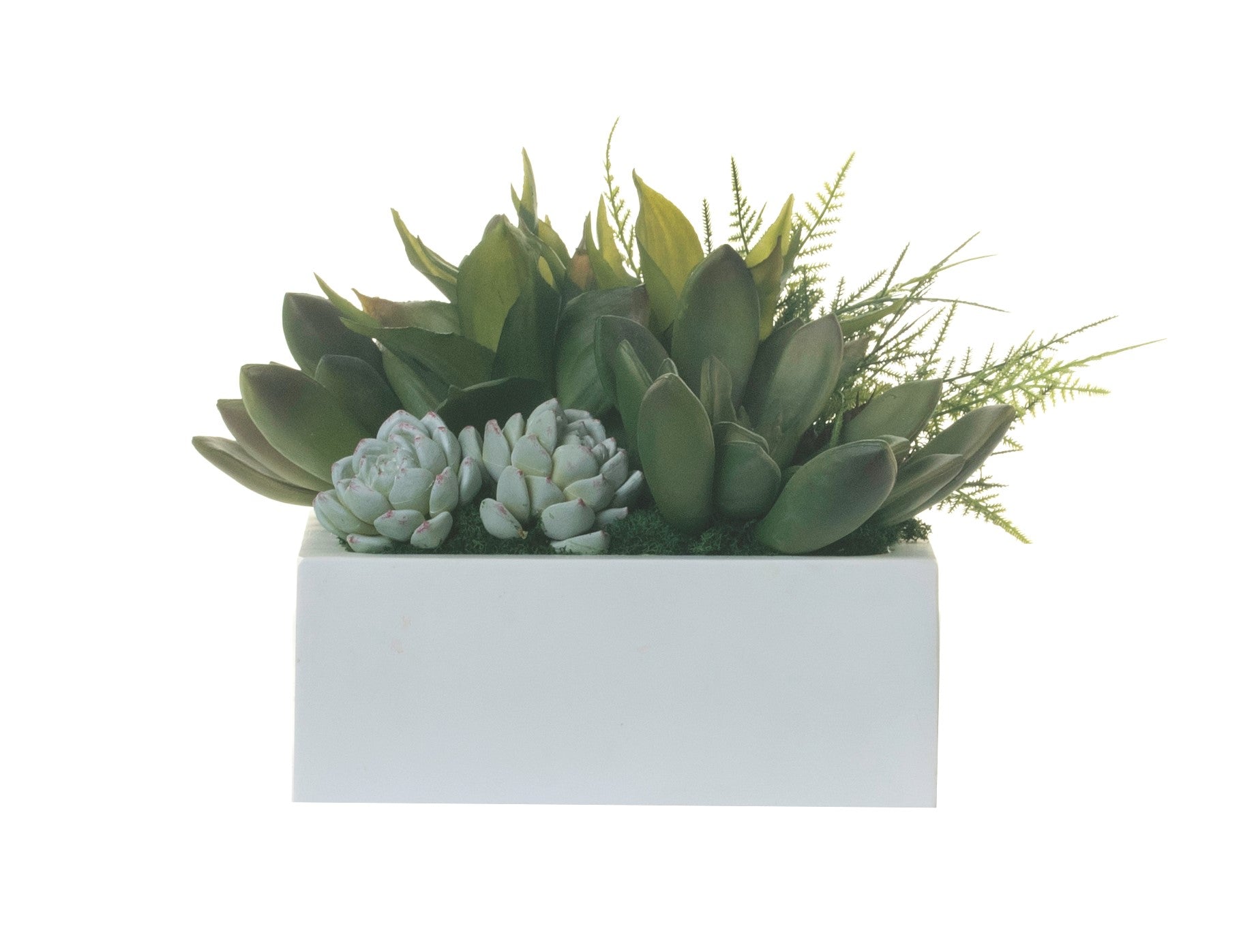 9" Sebastian Square Planter with Succulent Arrangement AR1311