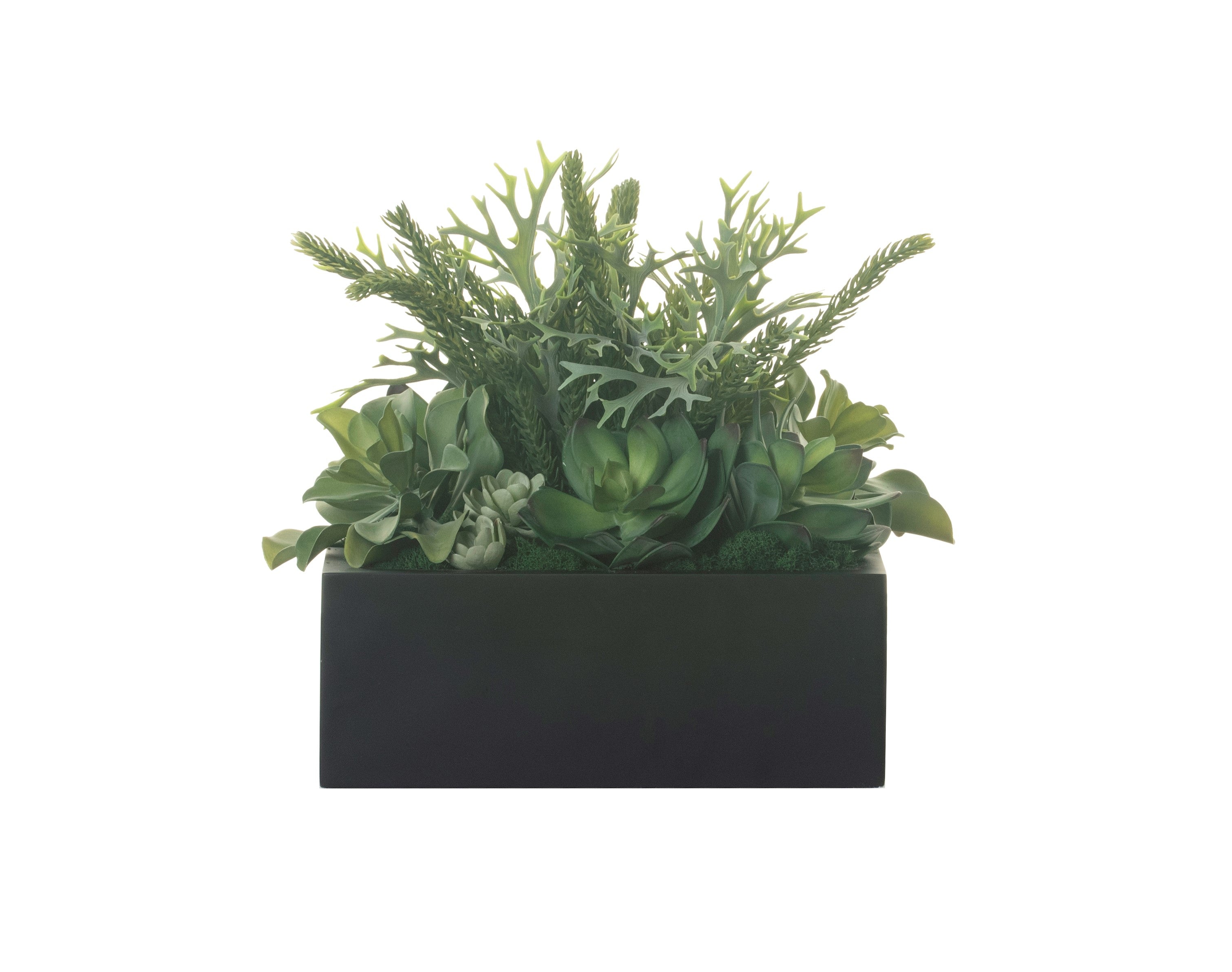 13" Sebastian Square Planter with Succulent Arrangement AR1313