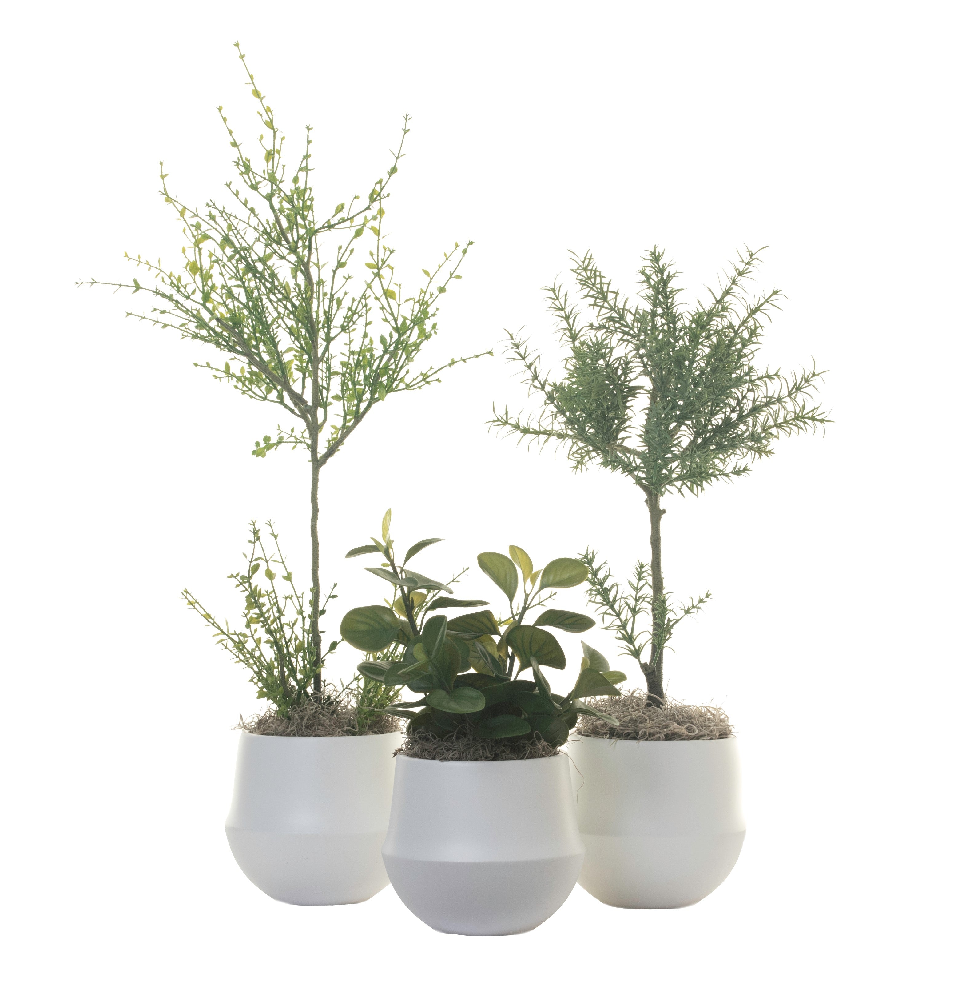 6" London Pot Trio Arrangement AR1319