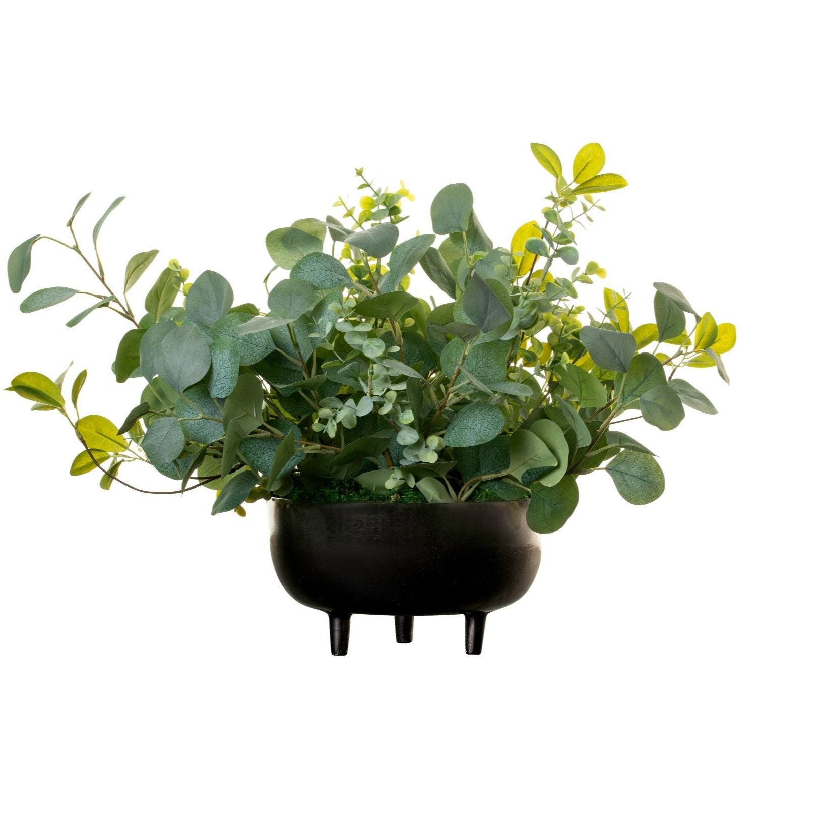 11" Ryder Bowl with Eucalyptus Arrangement AR1372