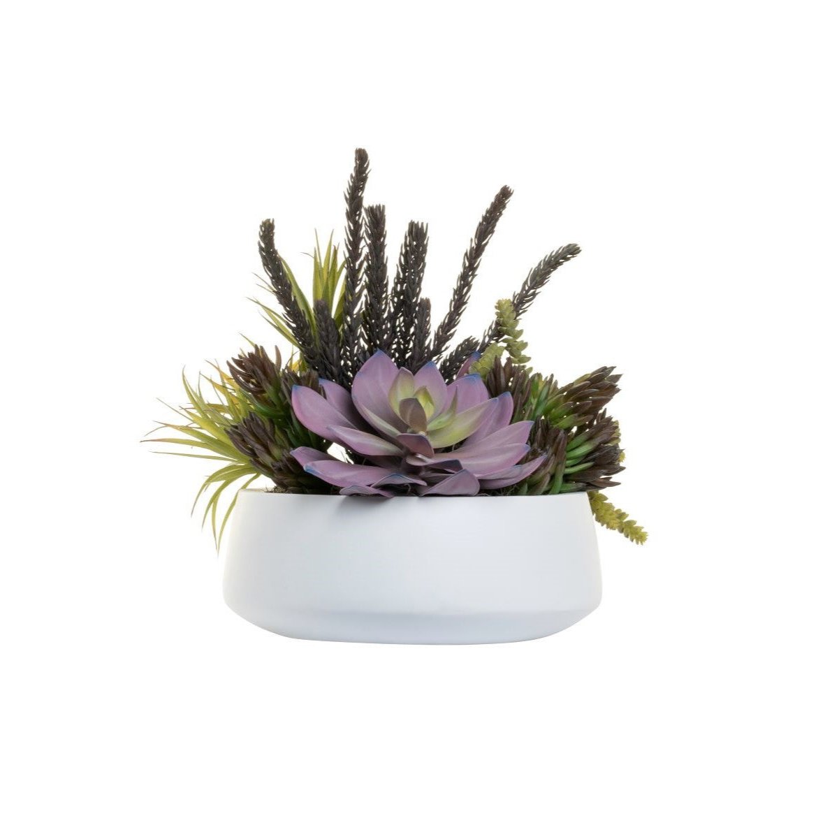 13" Edison Bowl With Succulent Arrangement AR1379