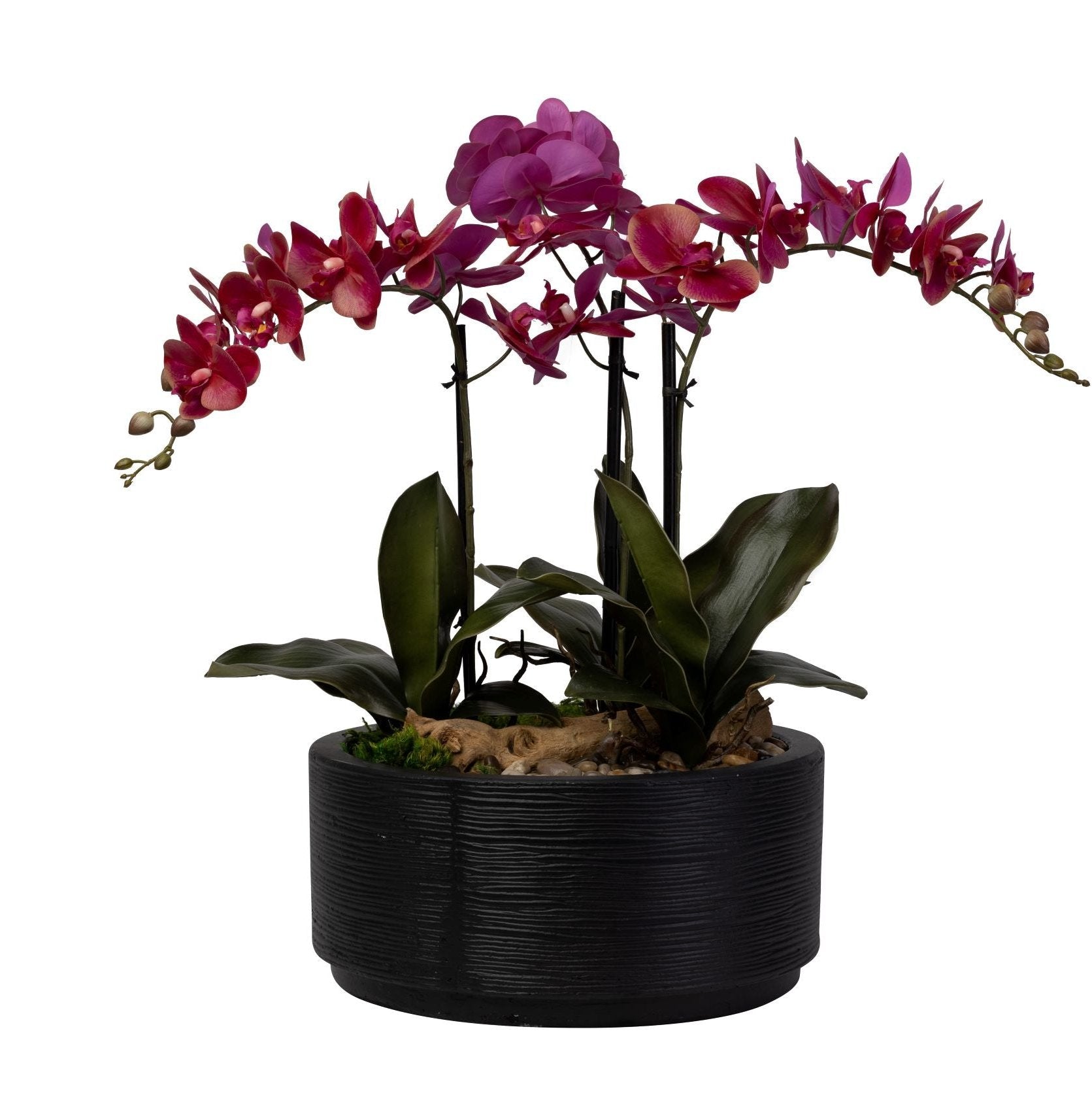 16" Sydney Bowl with Orchid Arrangement AR1415
