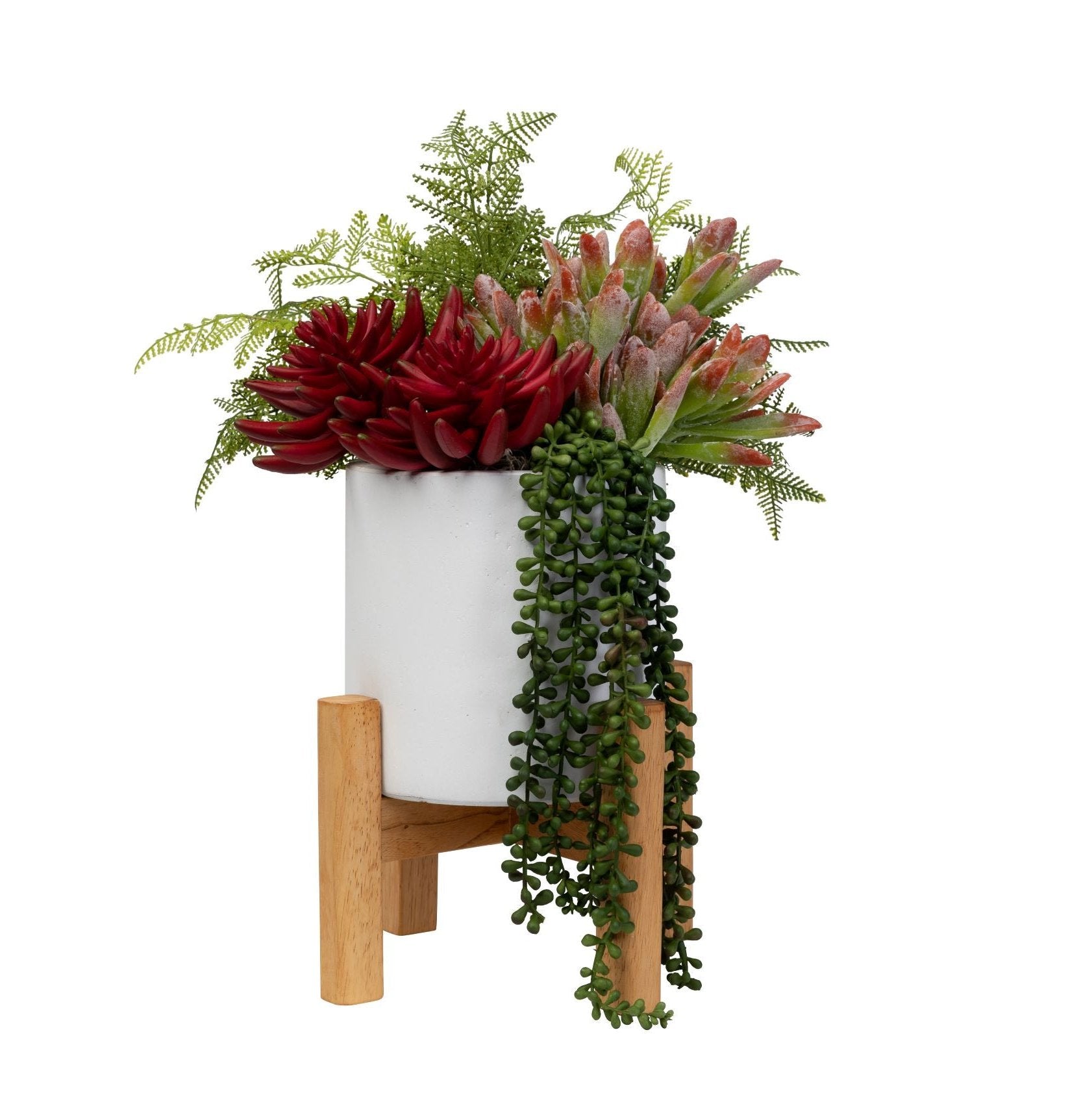 9" Korynn Planter with Succulent Arrangement AR1417