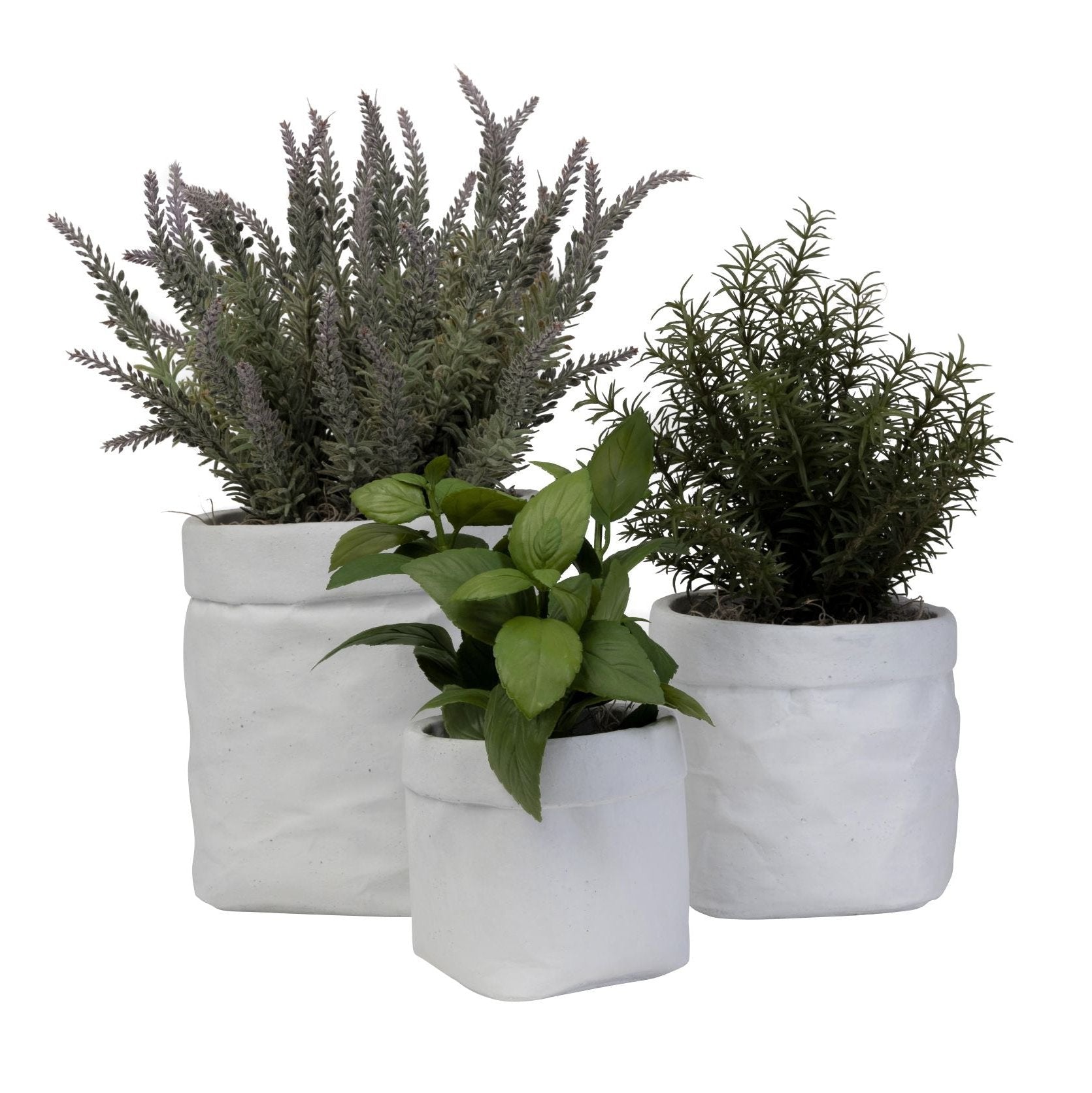 Herb Pot Trio Arrangements AR1439
