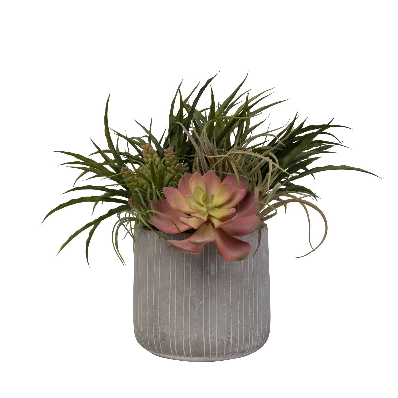 8" Sonora Pot with Succulent Arrangement AR1450