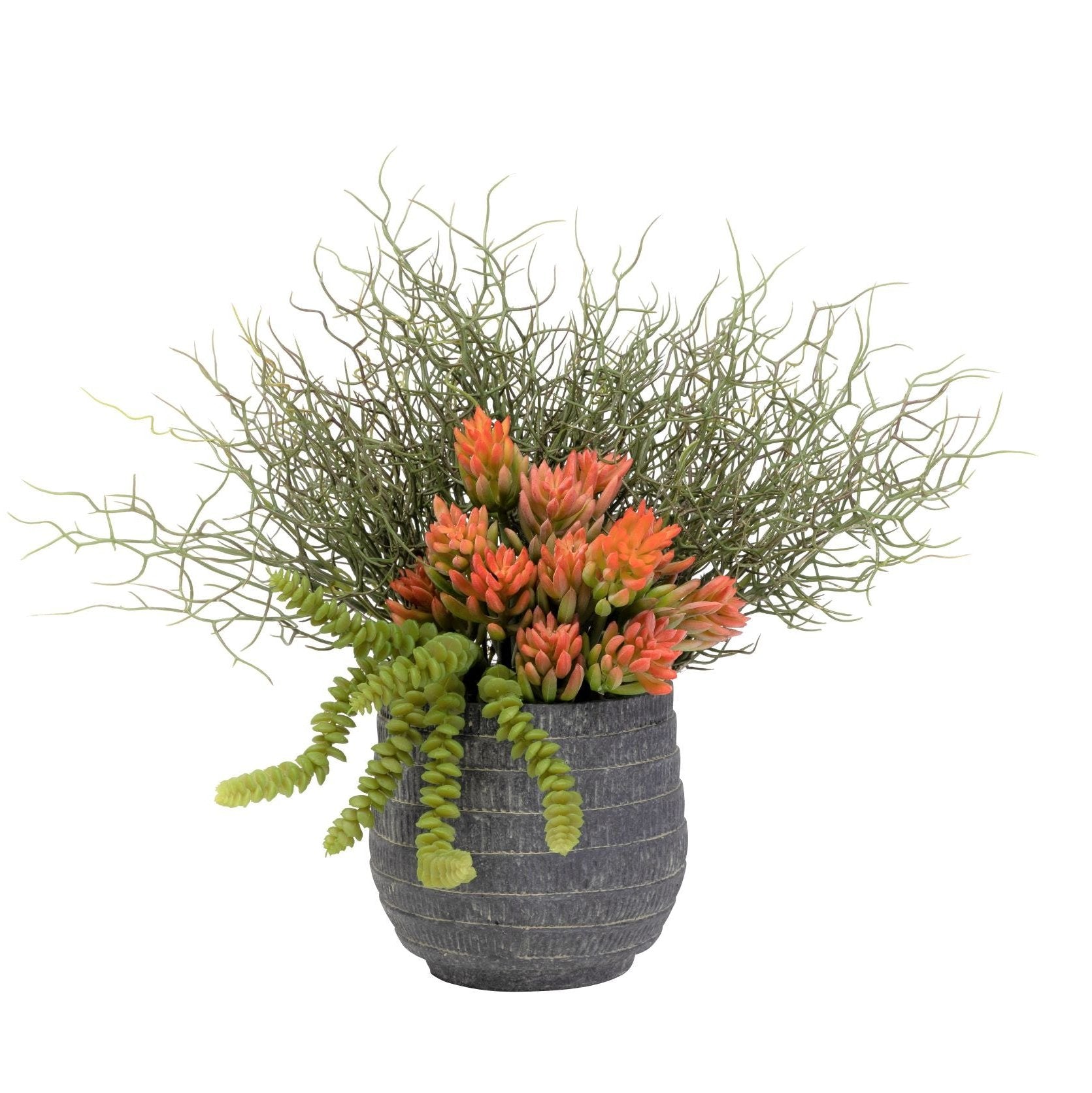 6" Zilla Pot With Succulent Arrangement AR1476