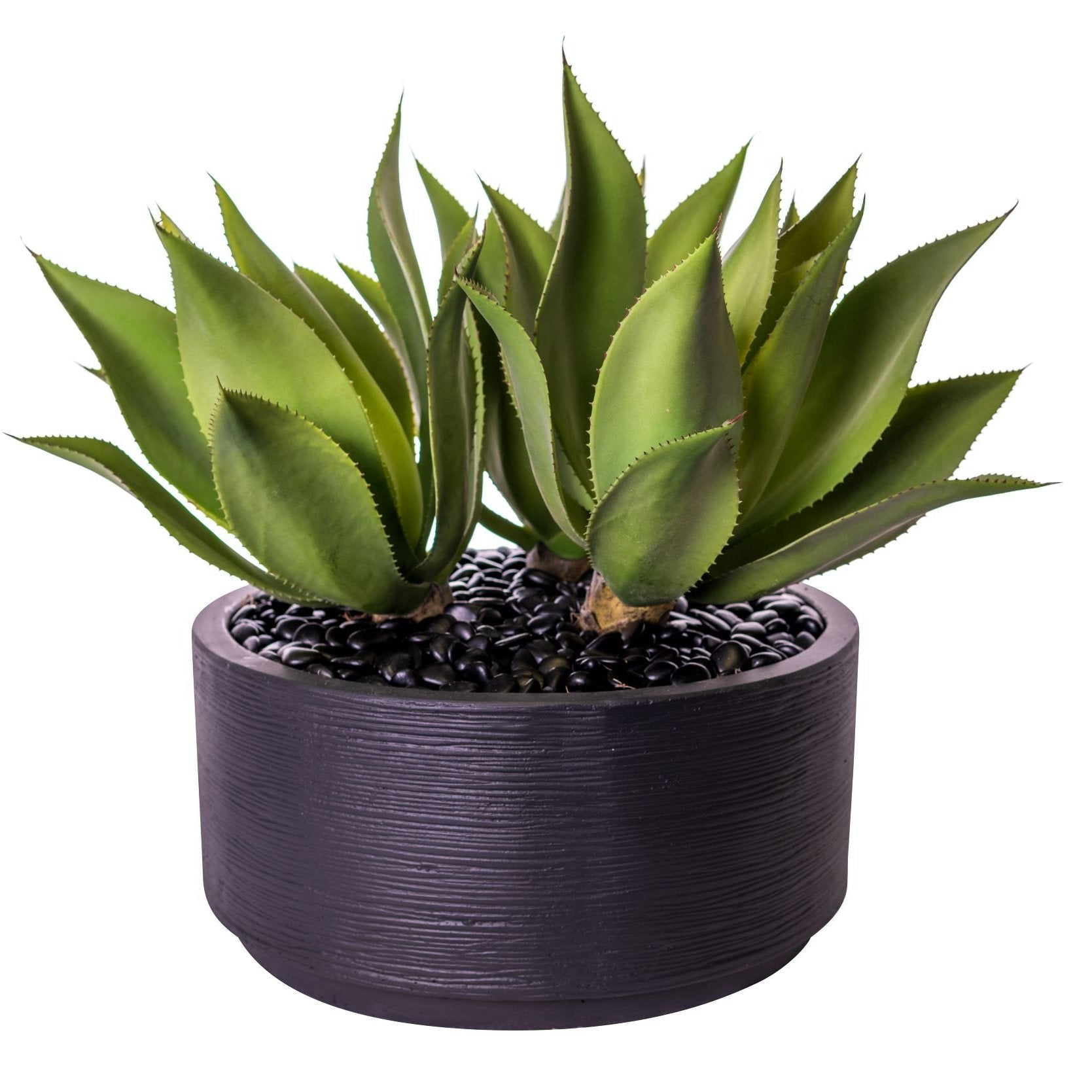 20” Sydney Bowl with UV Agave Arrangement AR1497