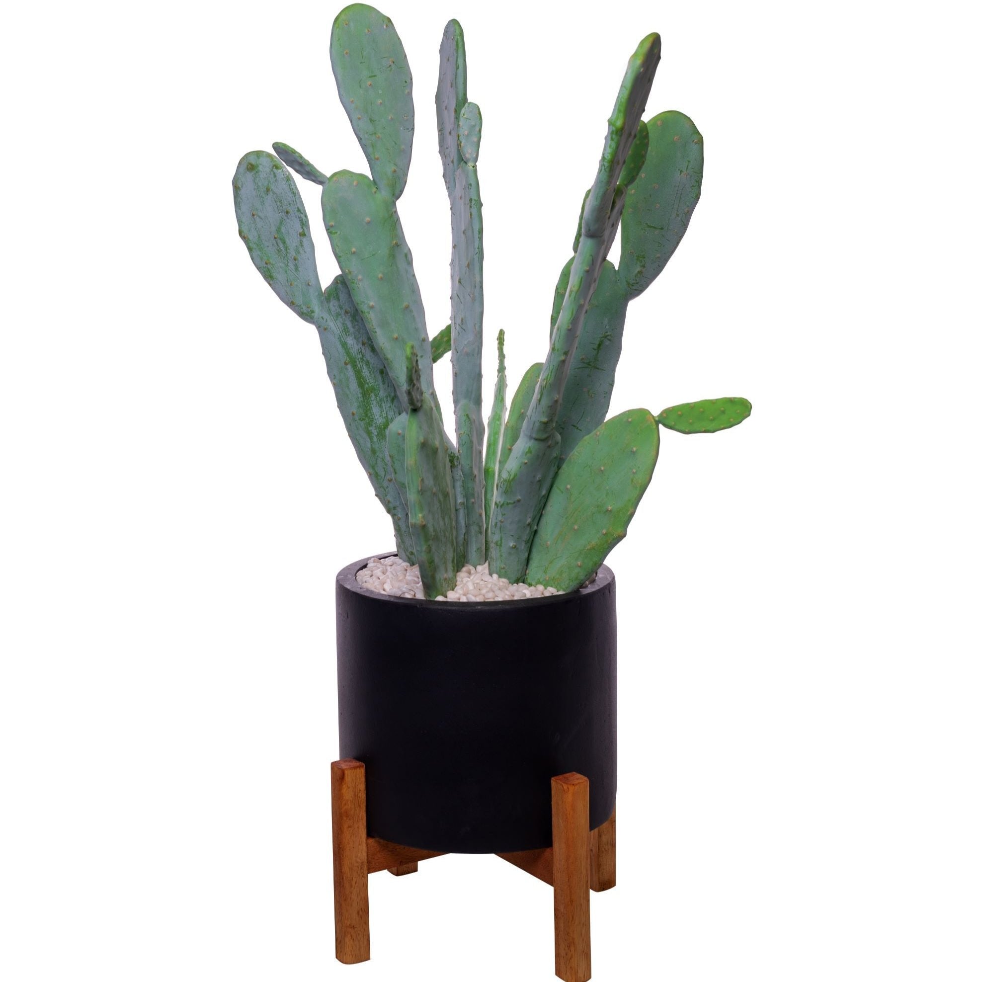 15.5” Black Korynn Cactus Arrangement AR1499
