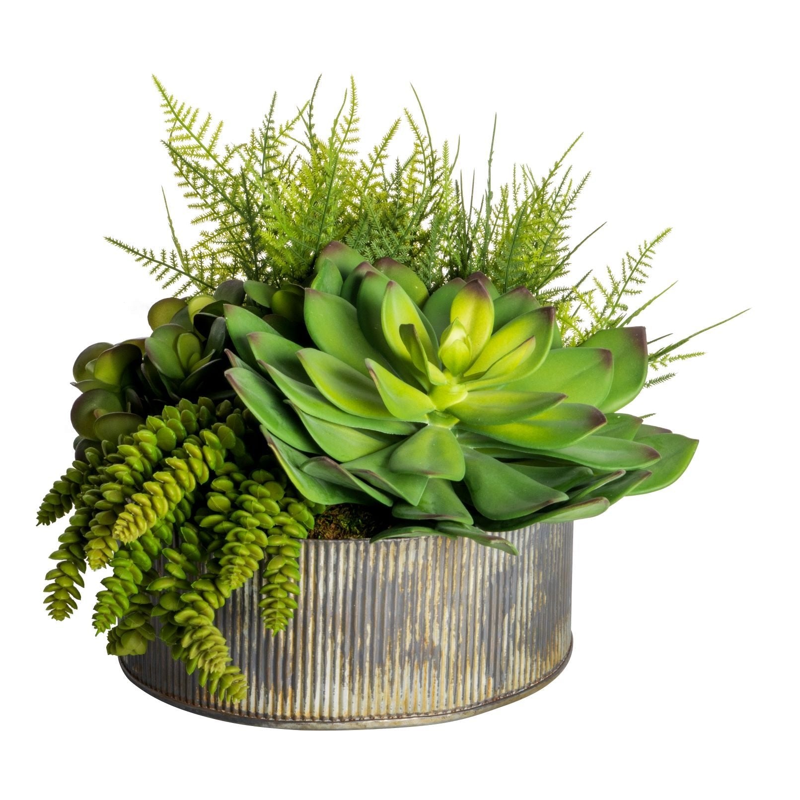 12" Rusty Bowl with Succulents AR1525