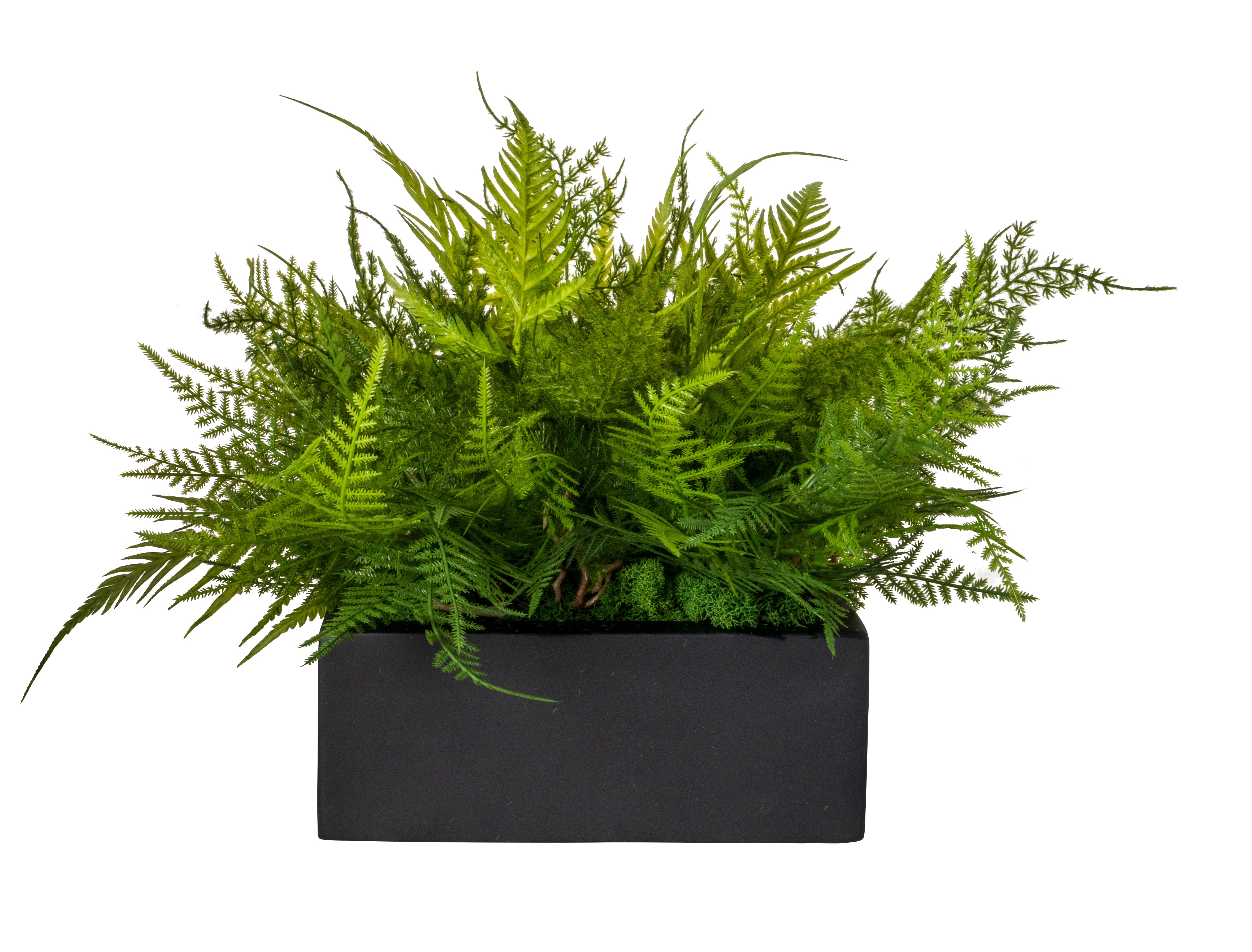 9" Sebastian Table Top Planter with Ferns Arrangement AR1534